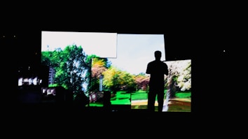 A silhouette of a person stands in front of large screens displaying vivid images of a park with green trees, a blue sky, and autumn-colored foliage. The contrast between the dark figure and the bright scenery creates a striking visual effect.