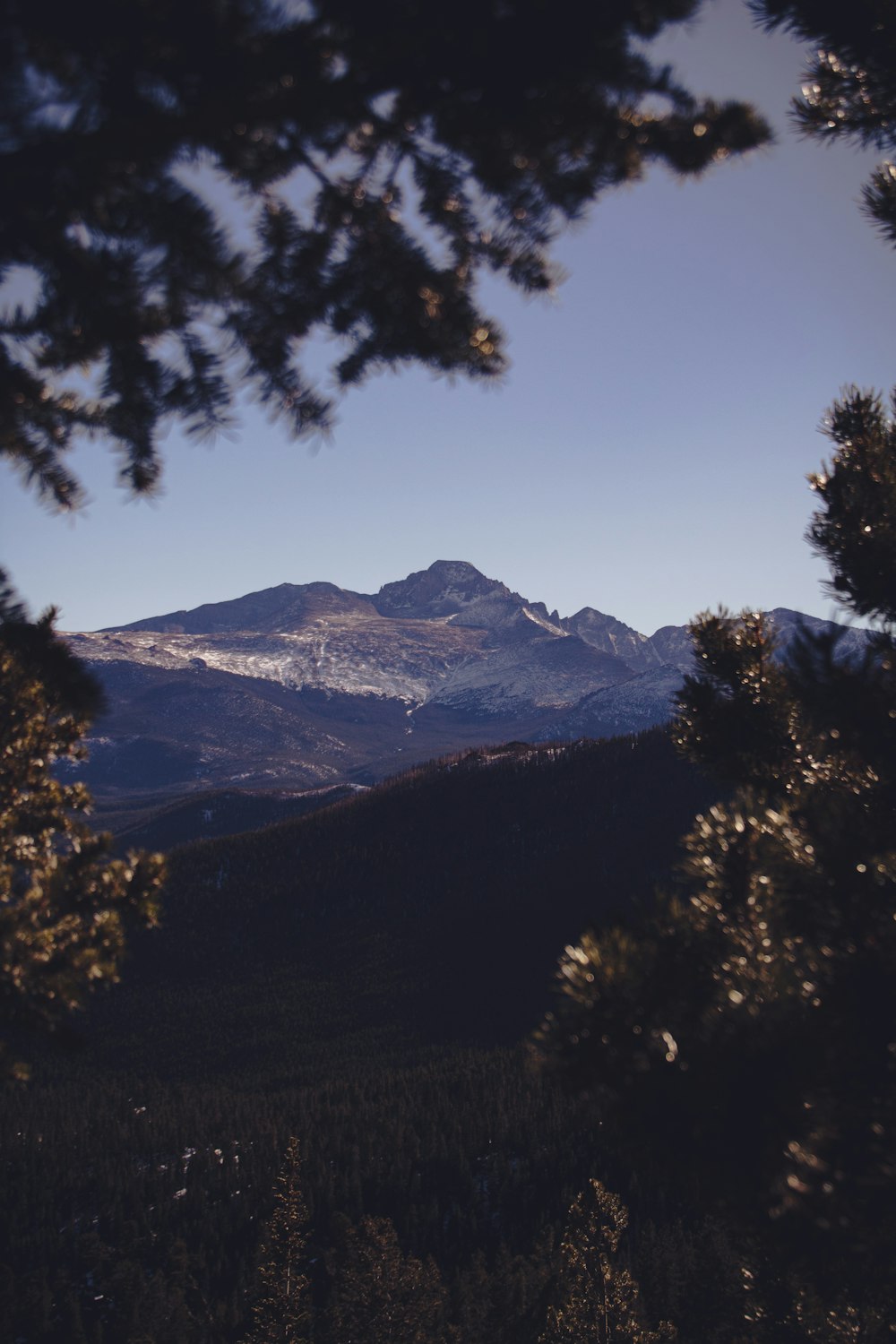 a view of a mountain range through some trees