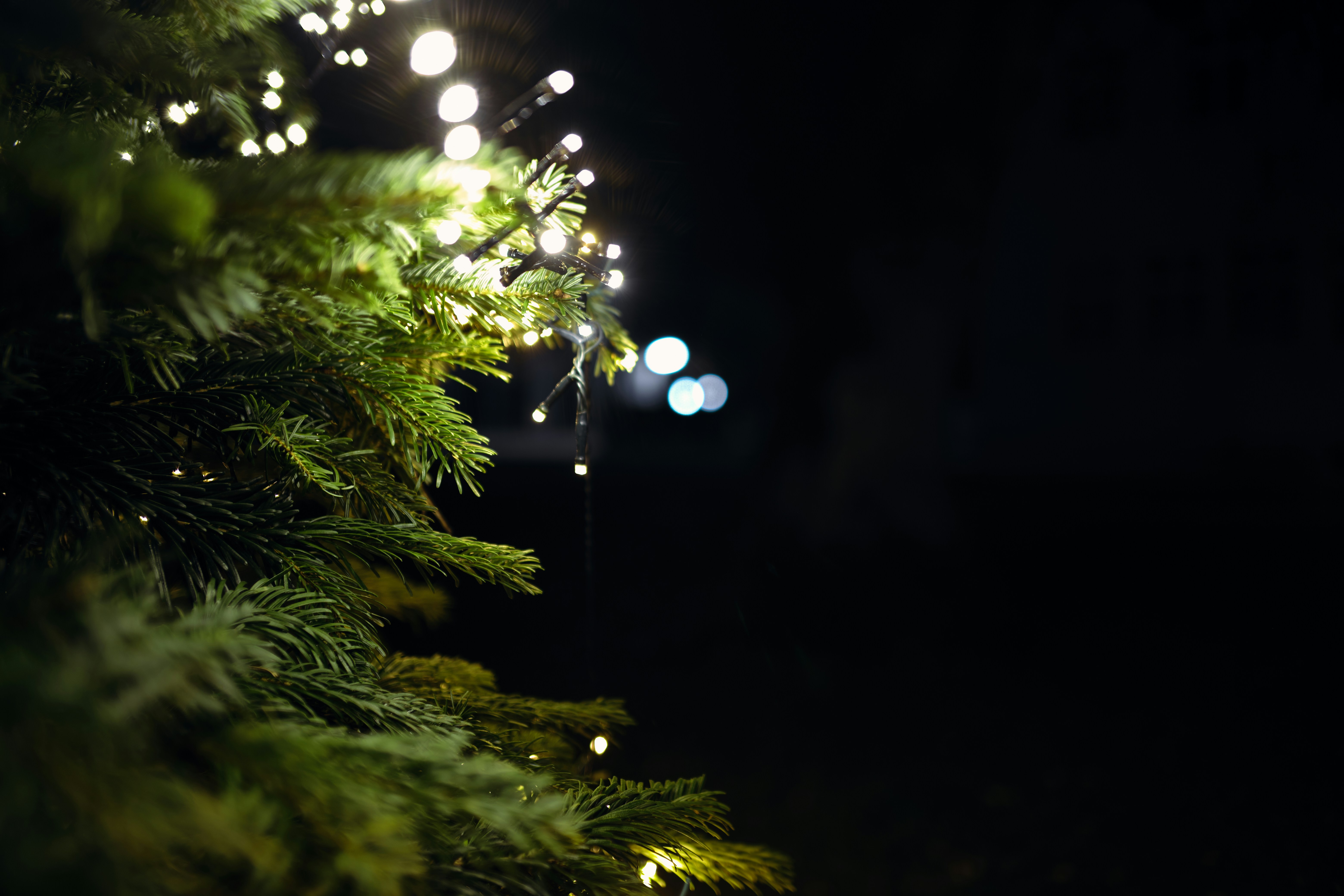 Twinkling Fairy String Lights