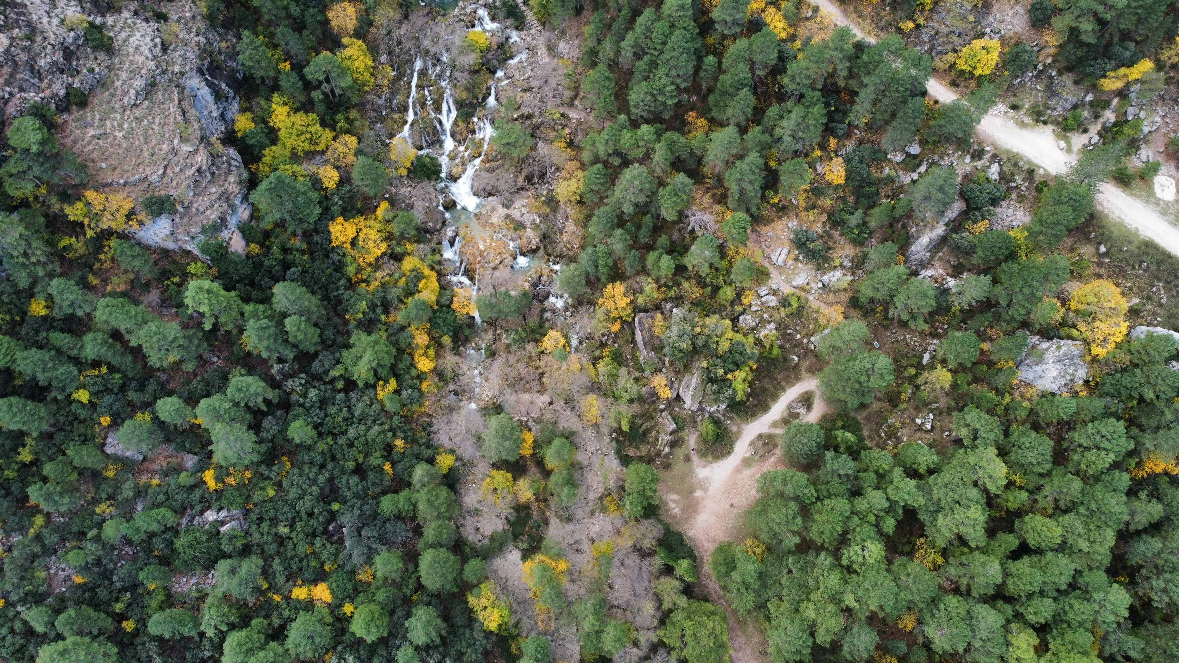 Photo by paudevalencia