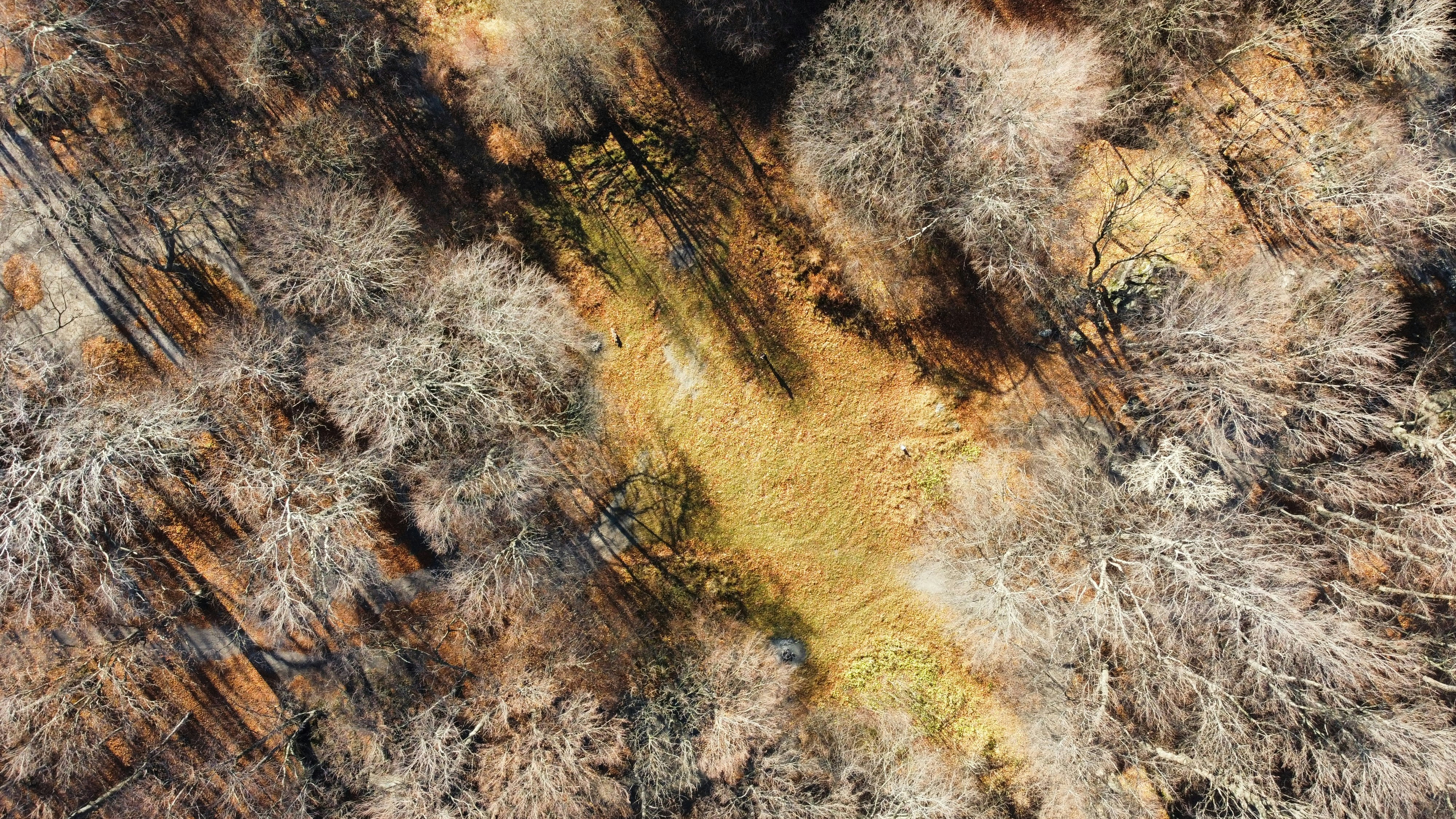 Photo by paudevalencia