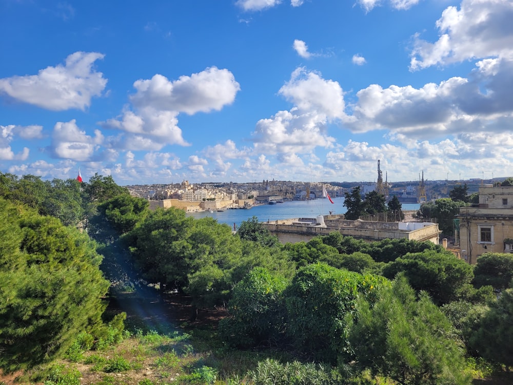 a view of a river and a city from a hill