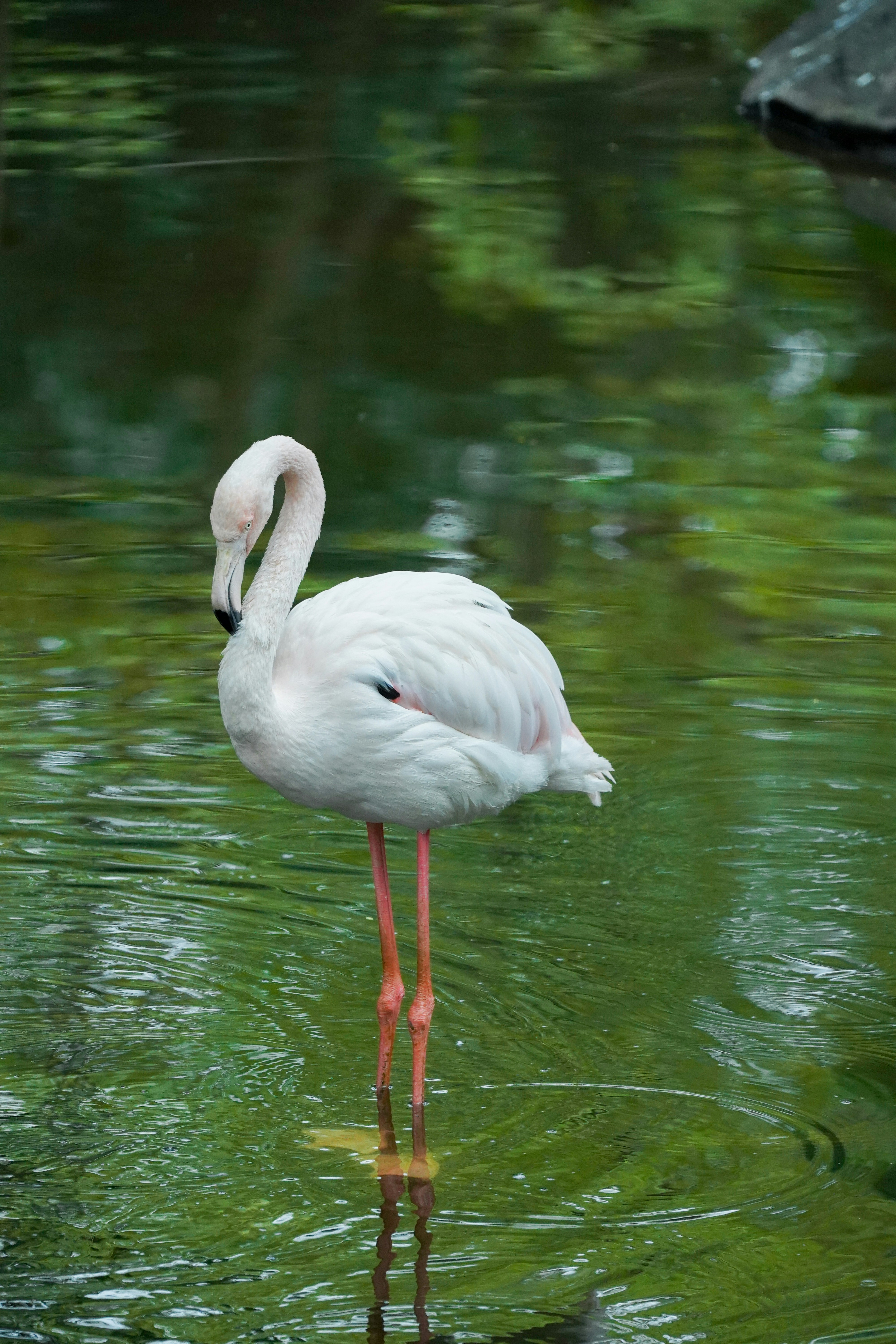 Photo by msz010dzeta