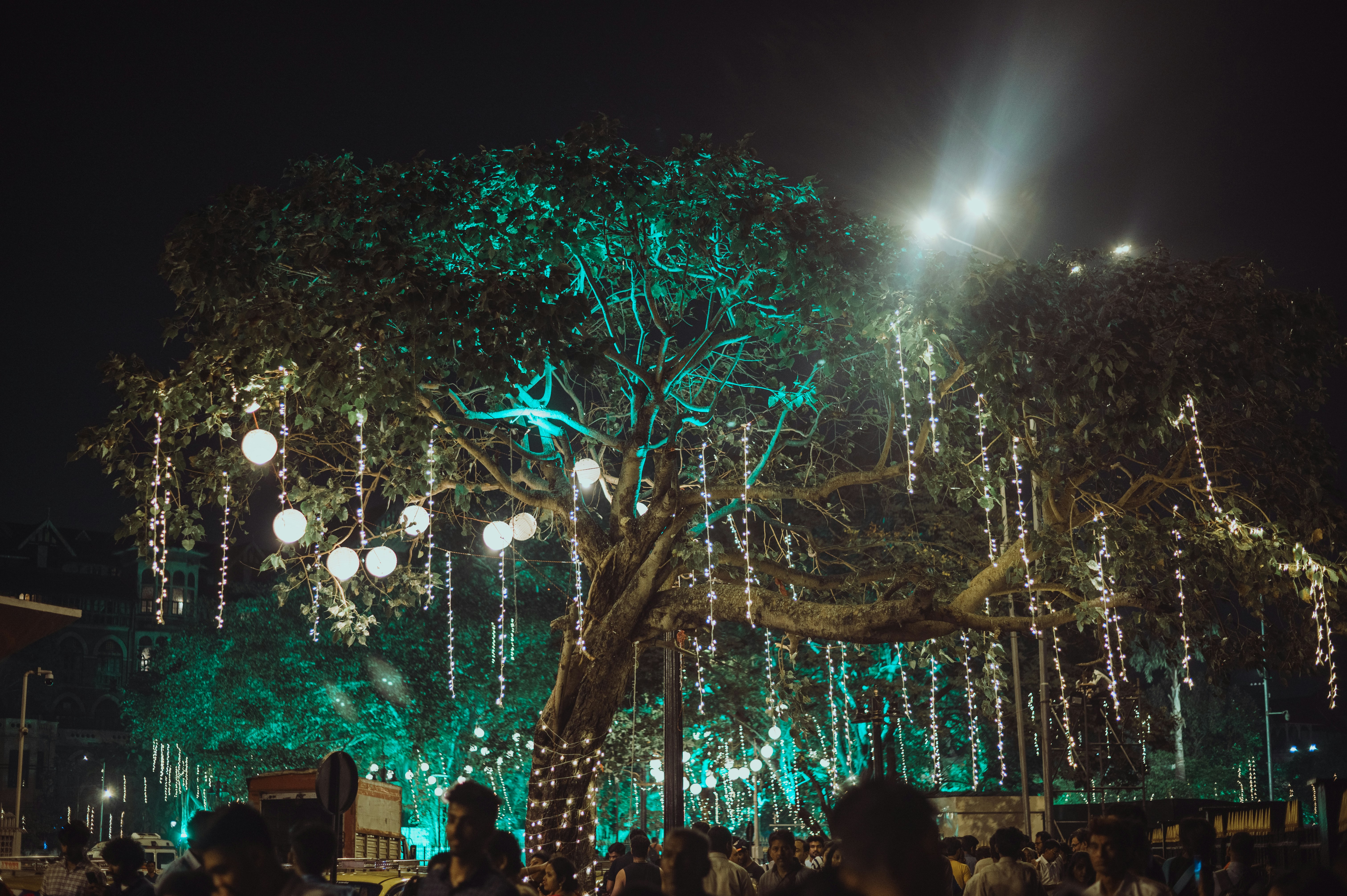 Photo by shaikhsanoor