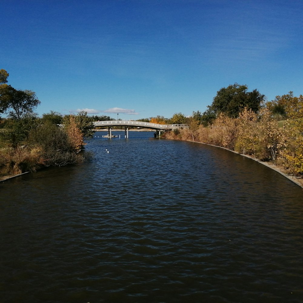 a view of a river with a bridge in the background