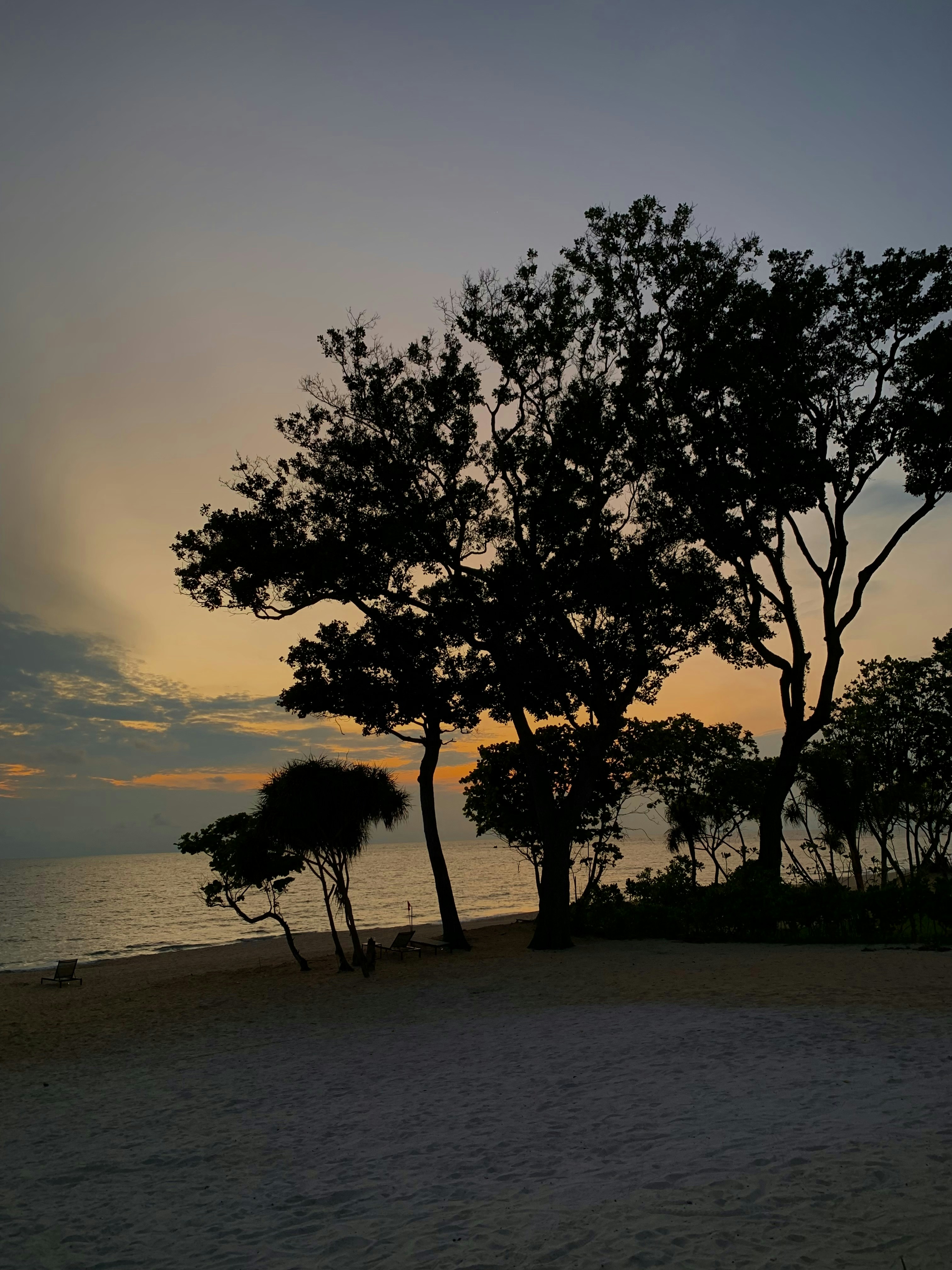 Photo by rookie_photographer