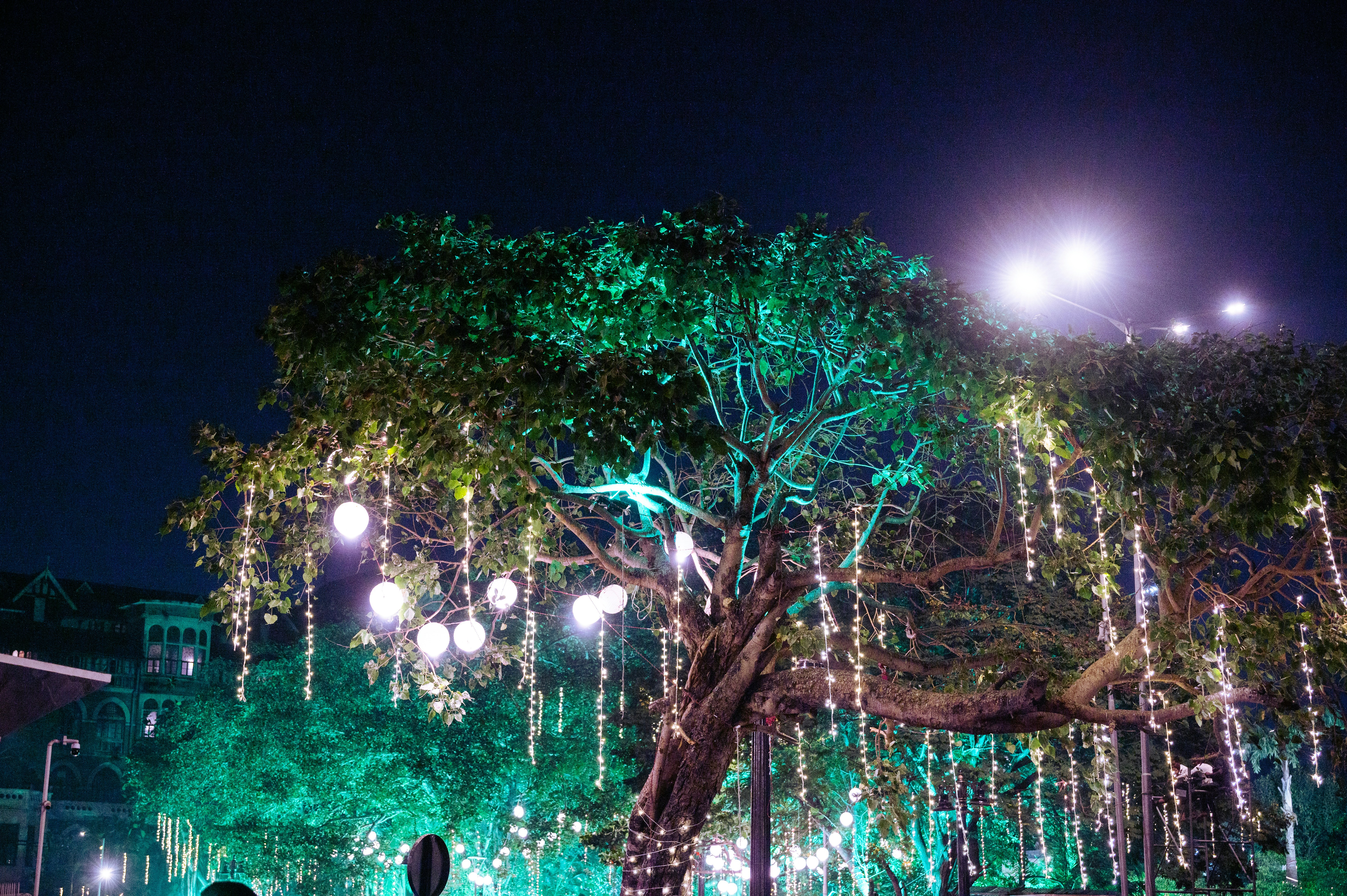 Photo by shaikhsanoor