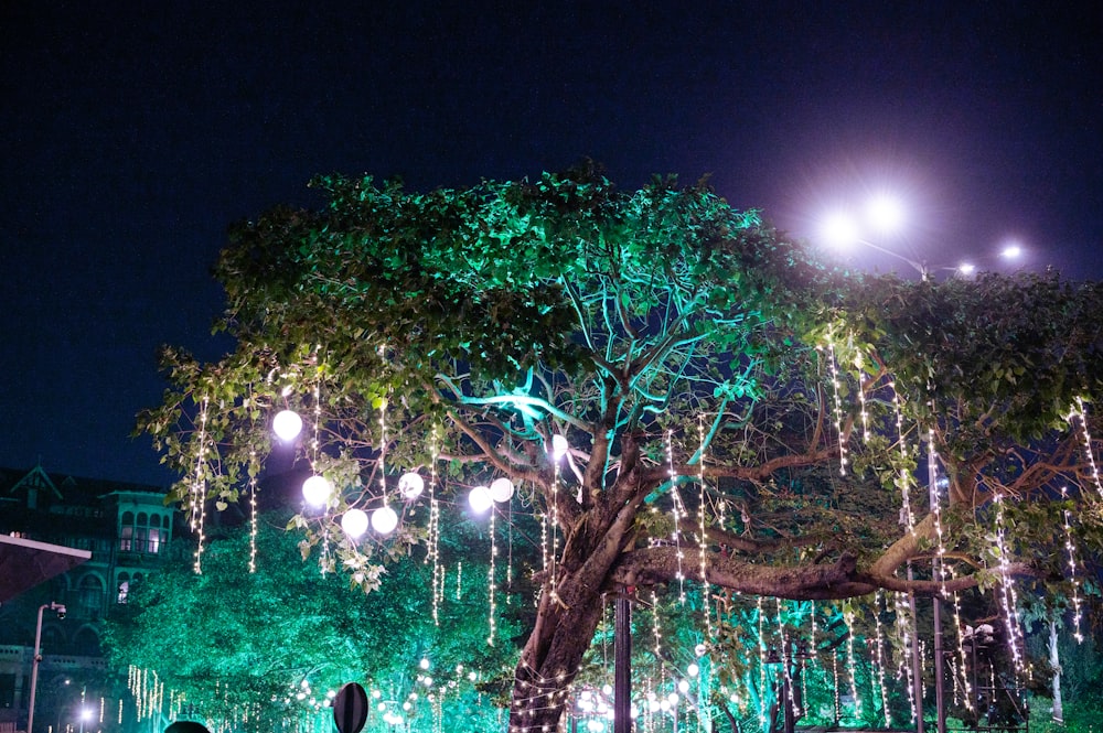 a group of people standing under a tree covered in lights