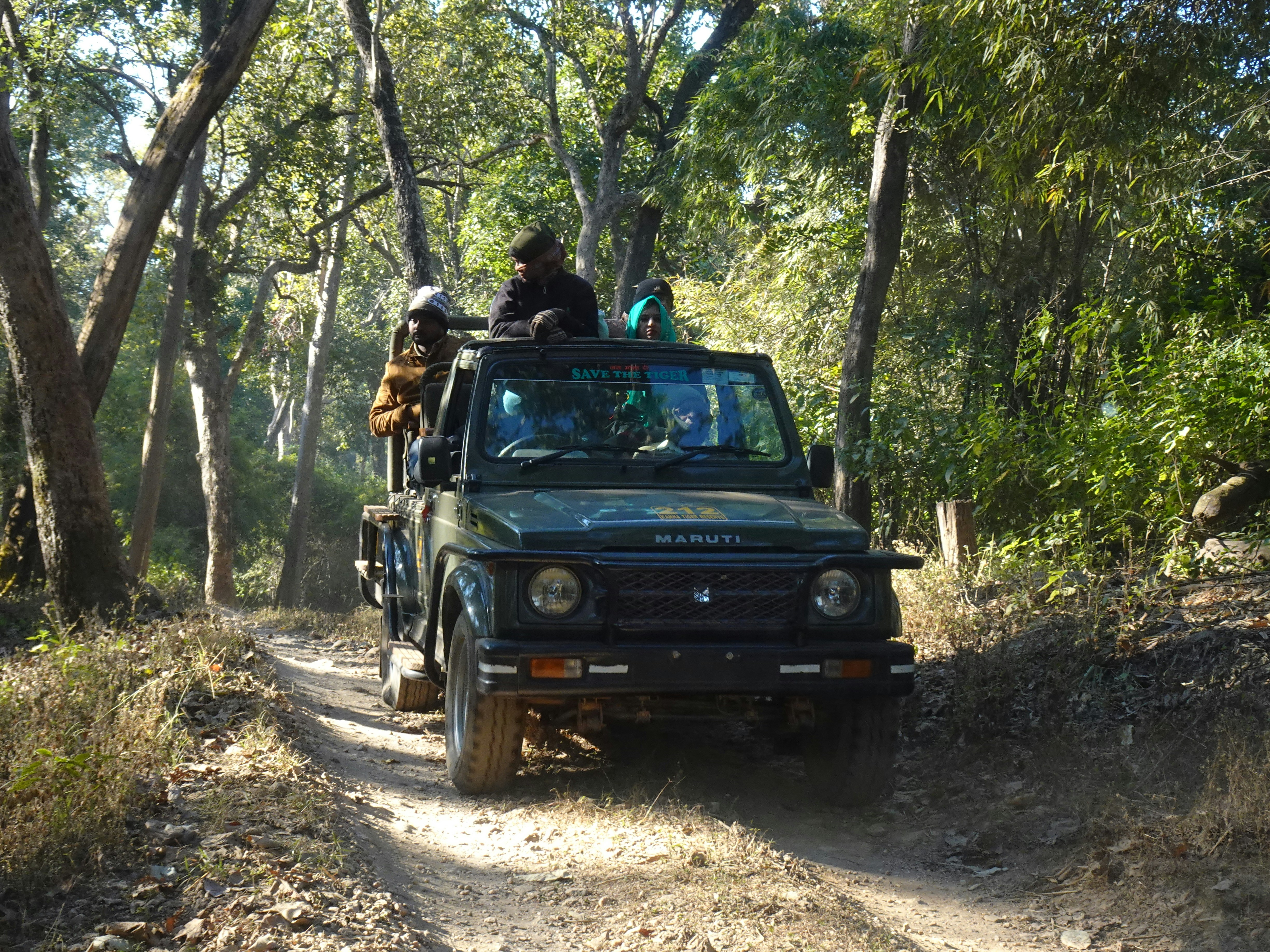 a jeep driving down a dirt road through a forest