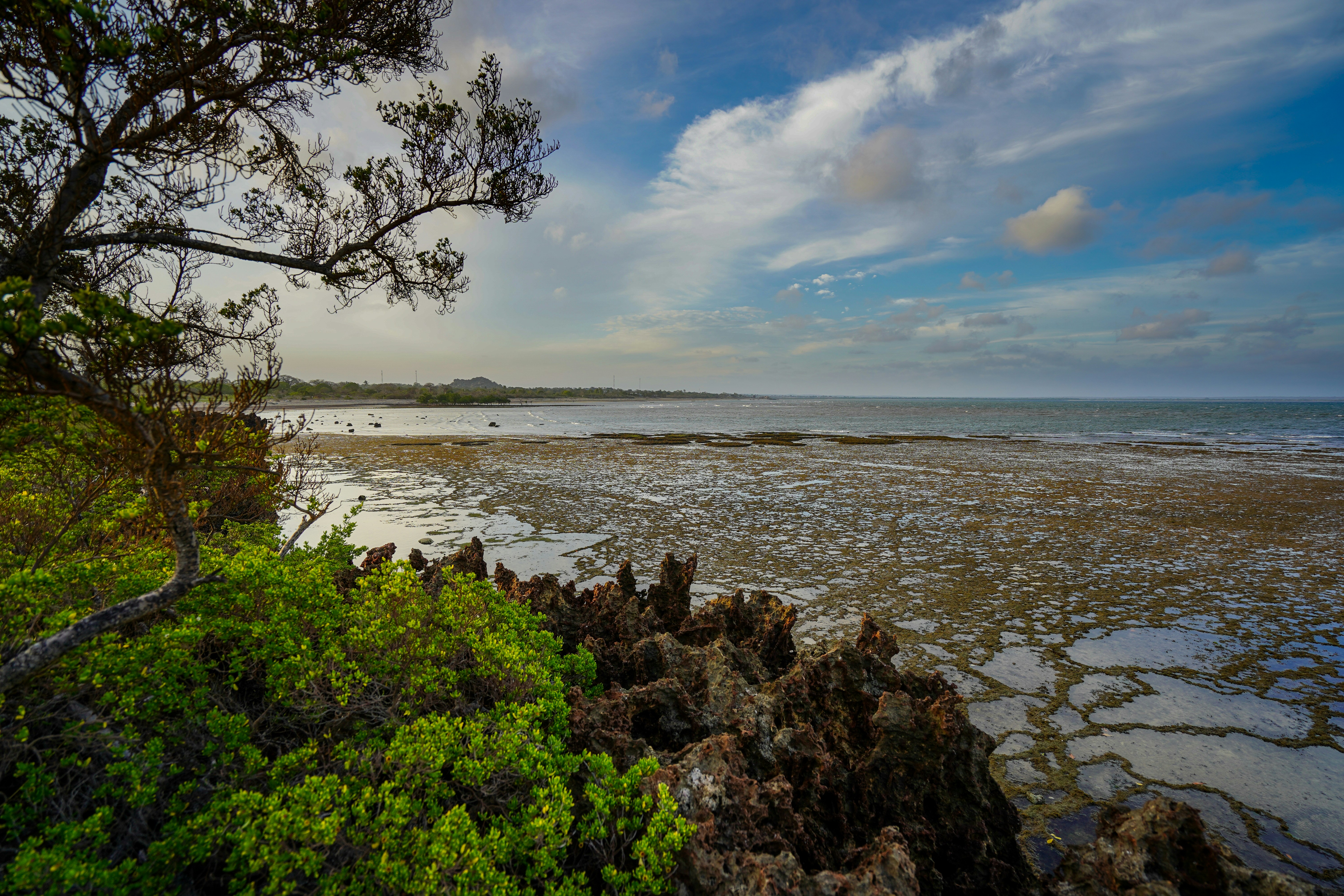 Photo by nathan_gubler