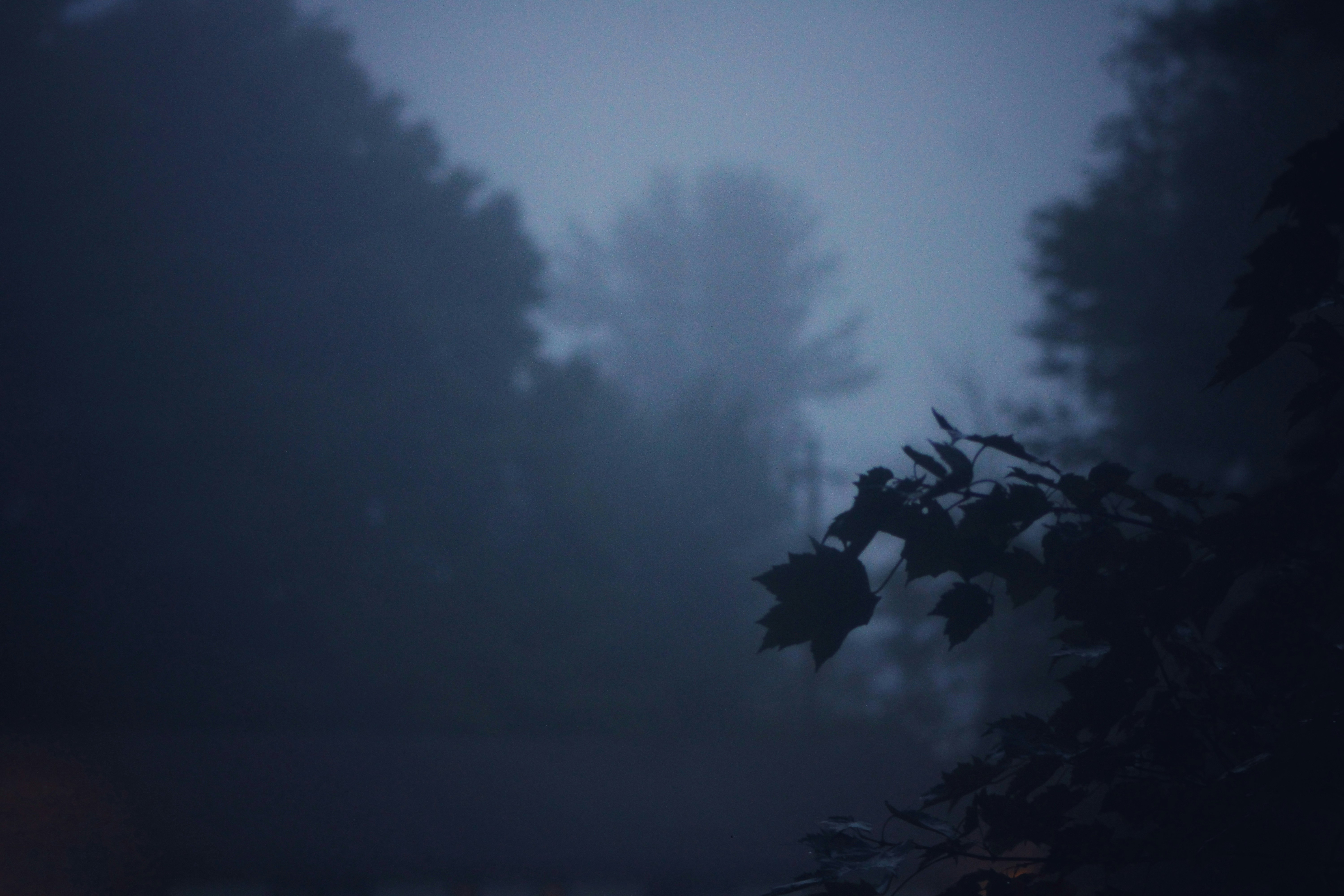 Photo by hocuspocusphotography