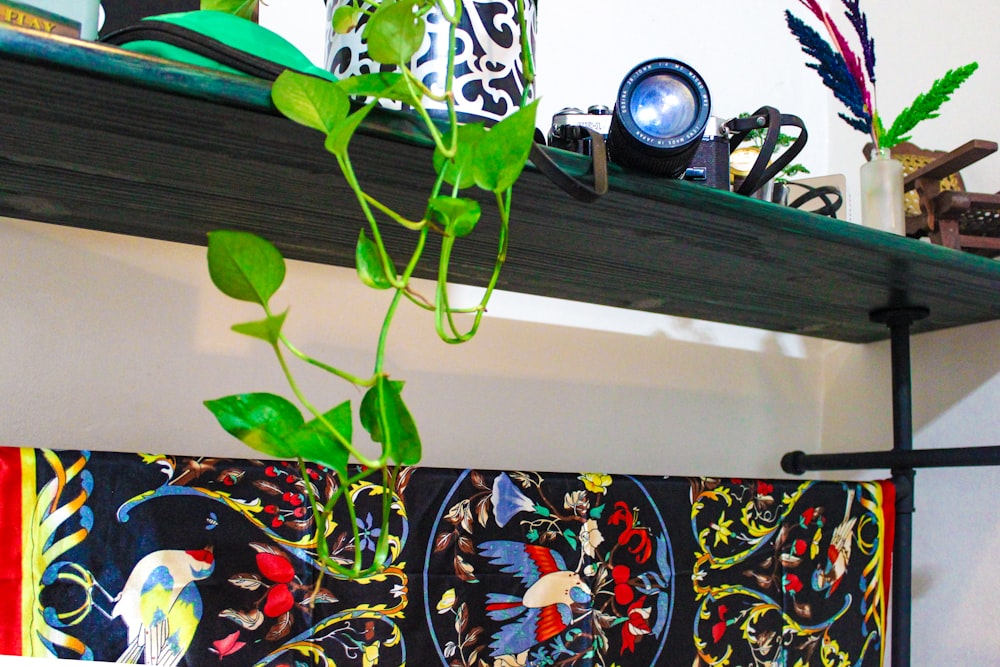 a potted plant sitting on top of a shelf