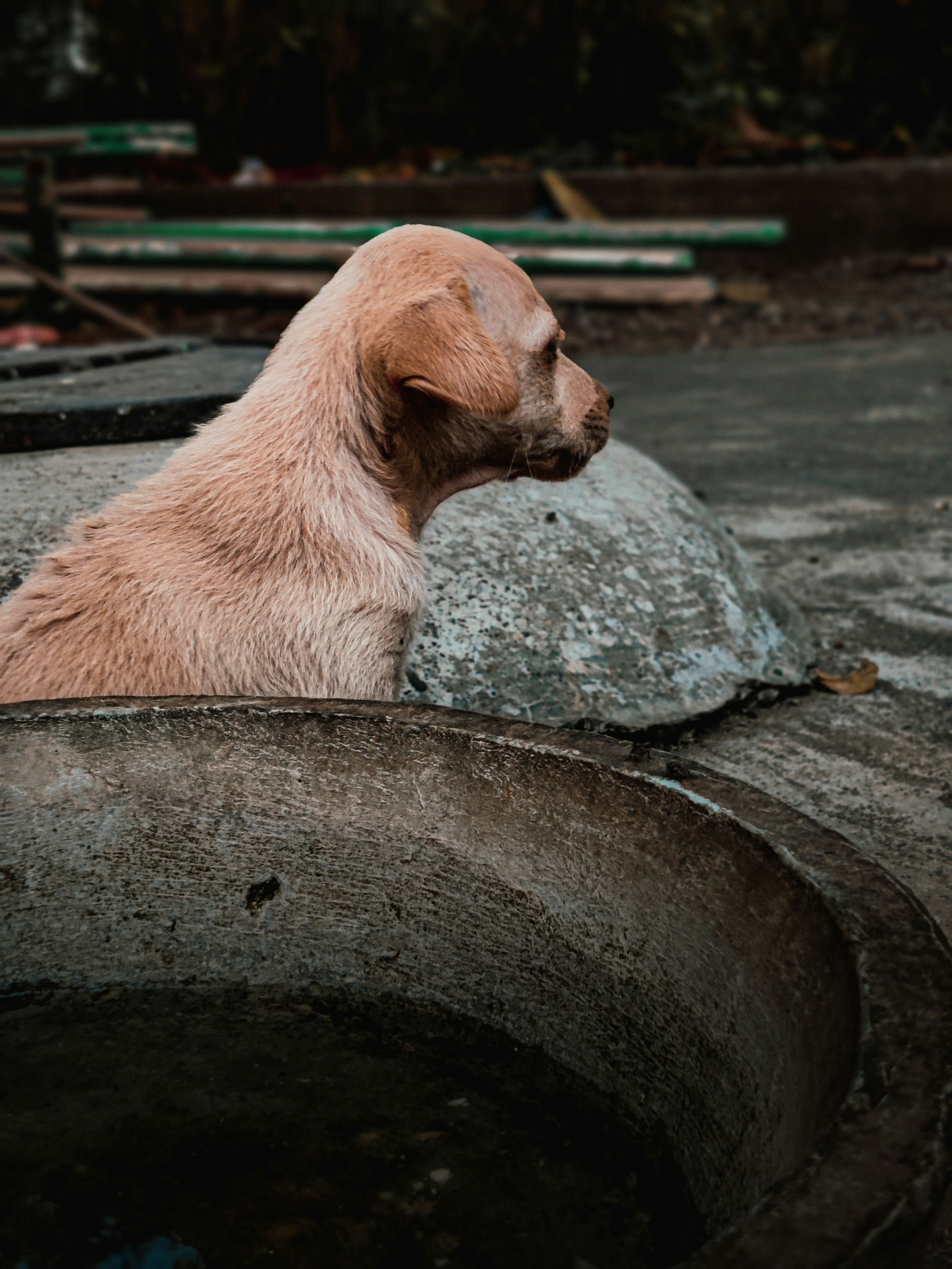 Photo by meetgada2307