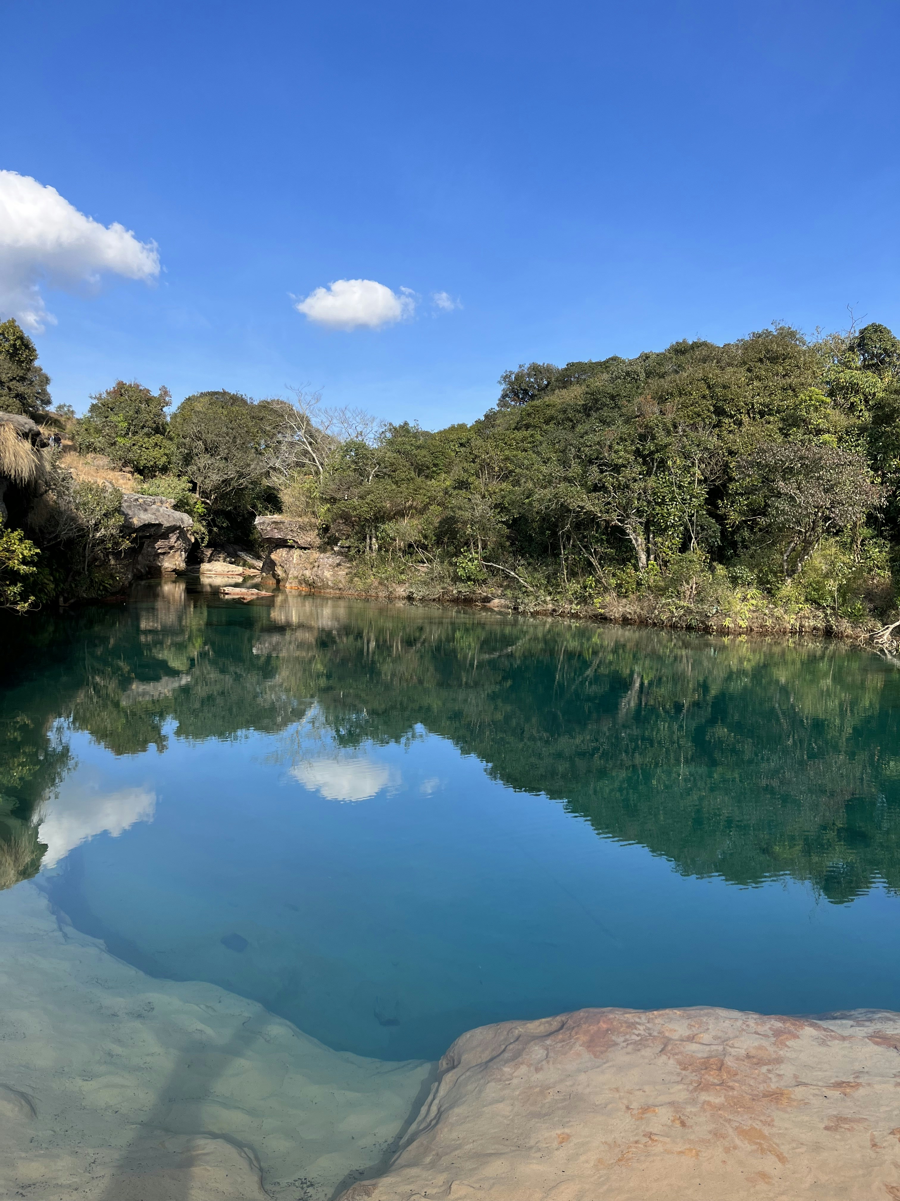 a large body of water surrounded by trees