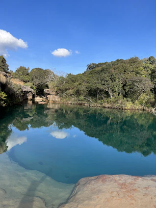 A serene lake reflecting the clear blue sky with a Bauer Lakes Water Company truck parked nearby.