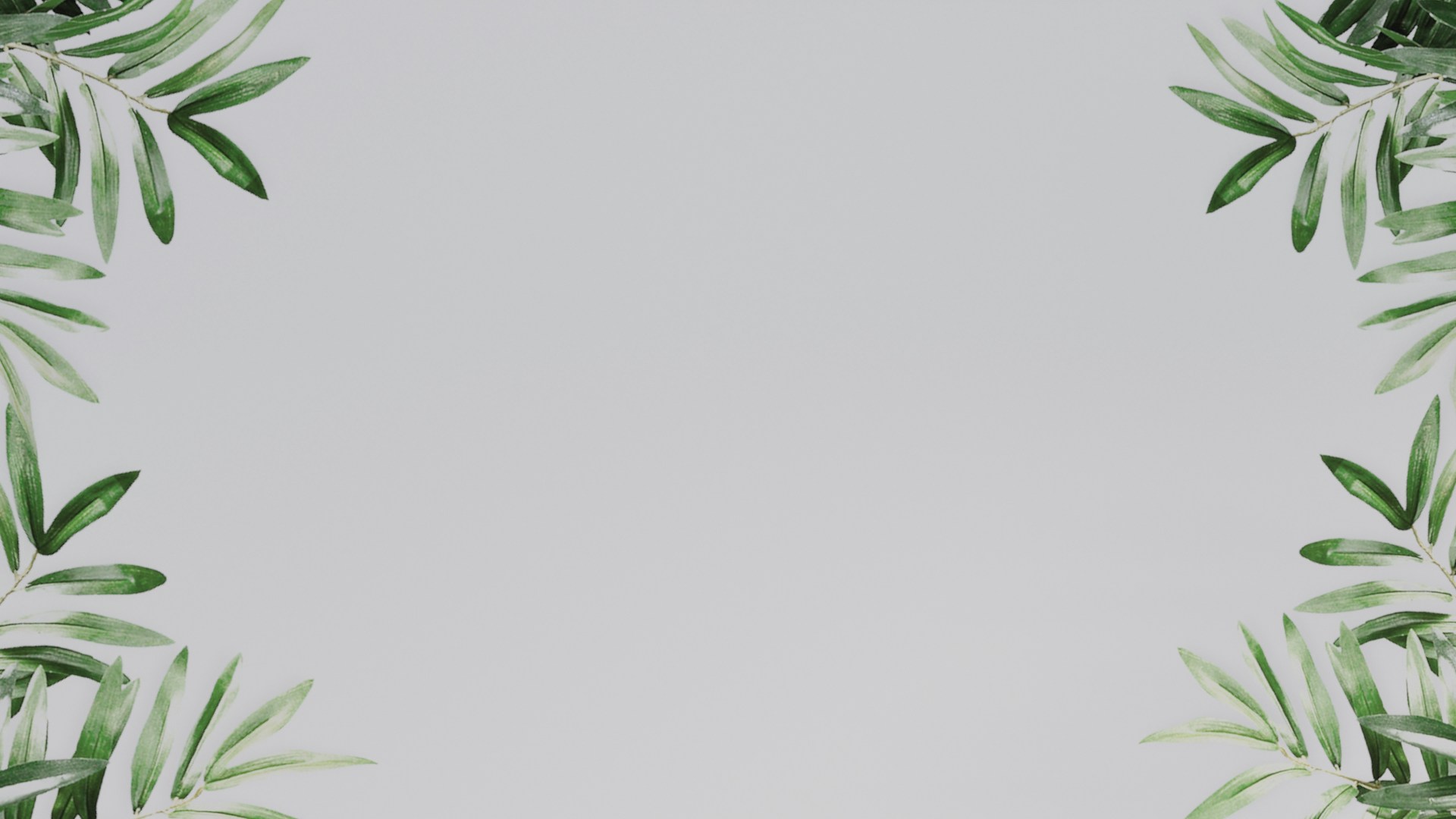 a white background with green leaves on it