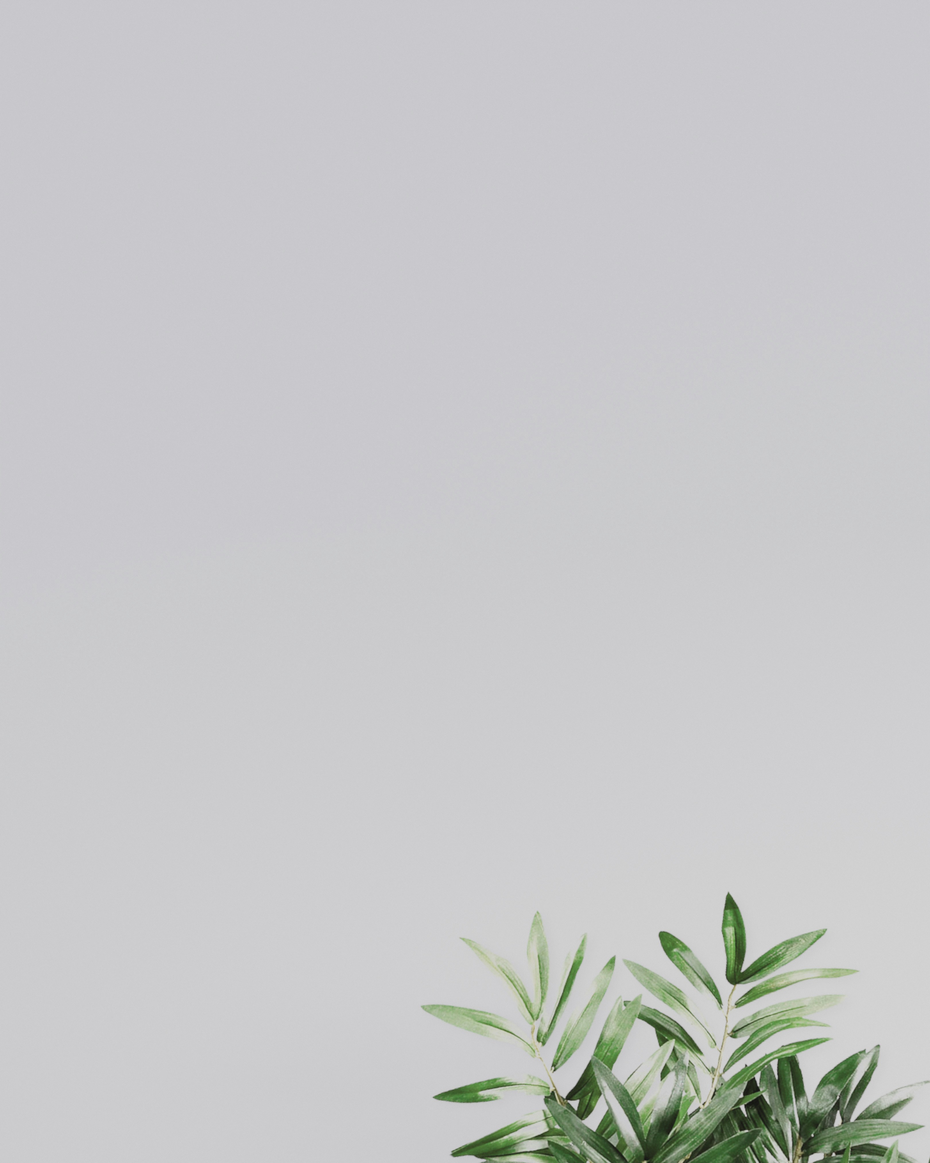 Photo by pramodtiwari