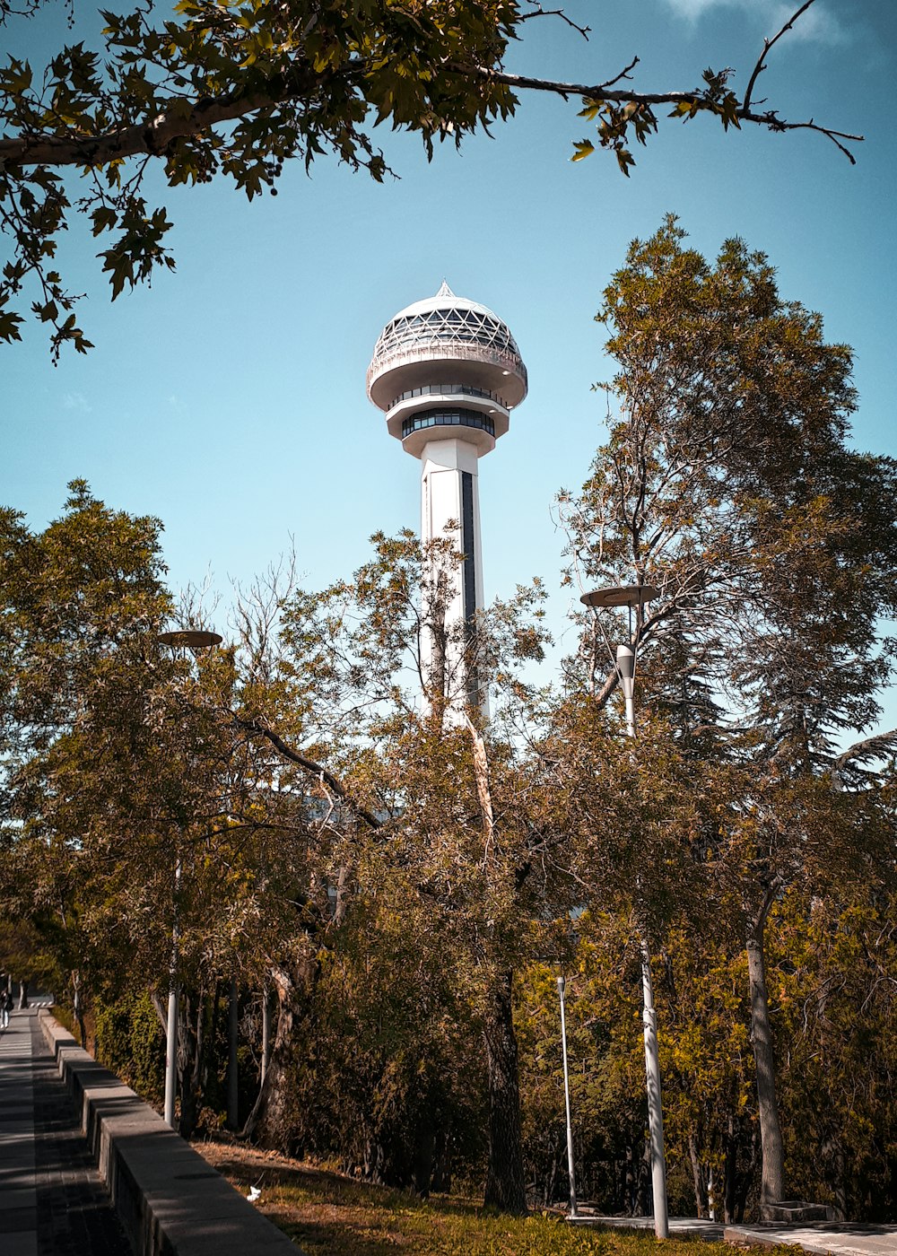 uma torre de água no meio de um parque