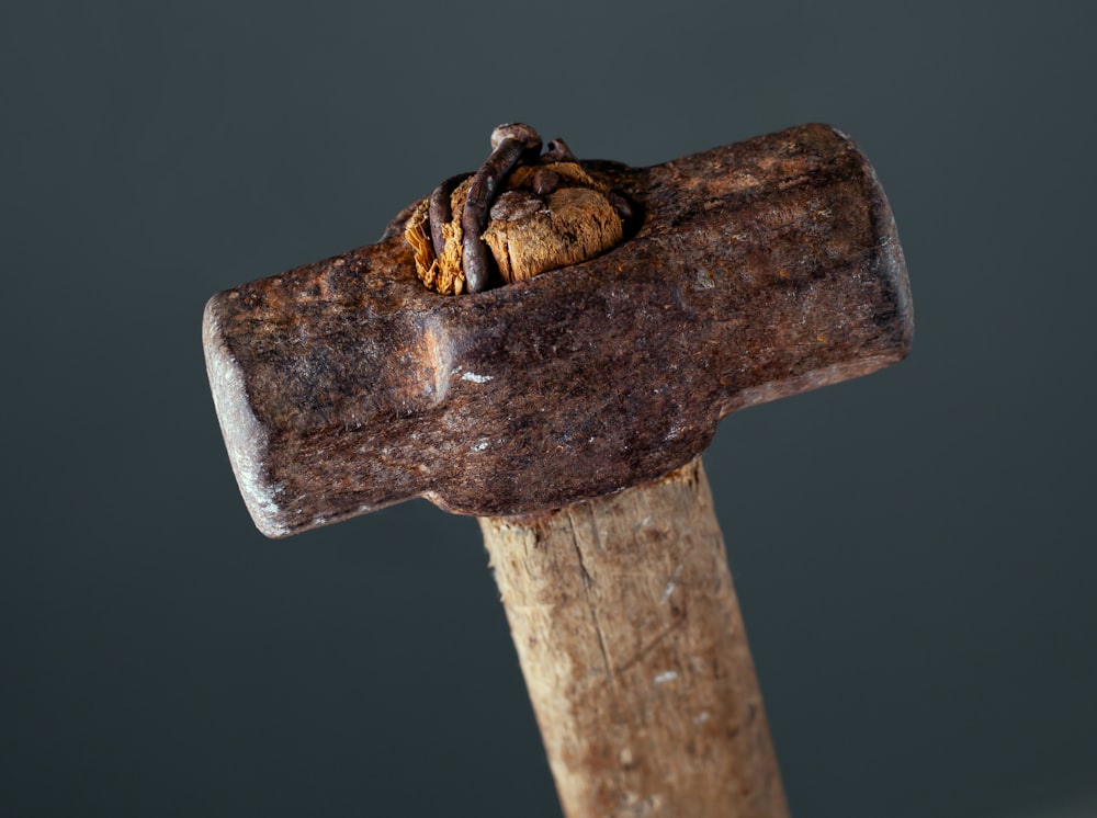 a close up of a hammer with a bug on it