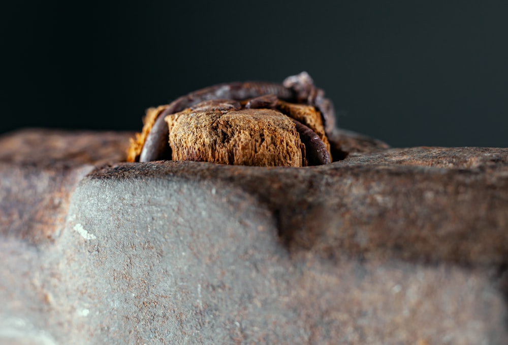 a close up of a spider on a rock