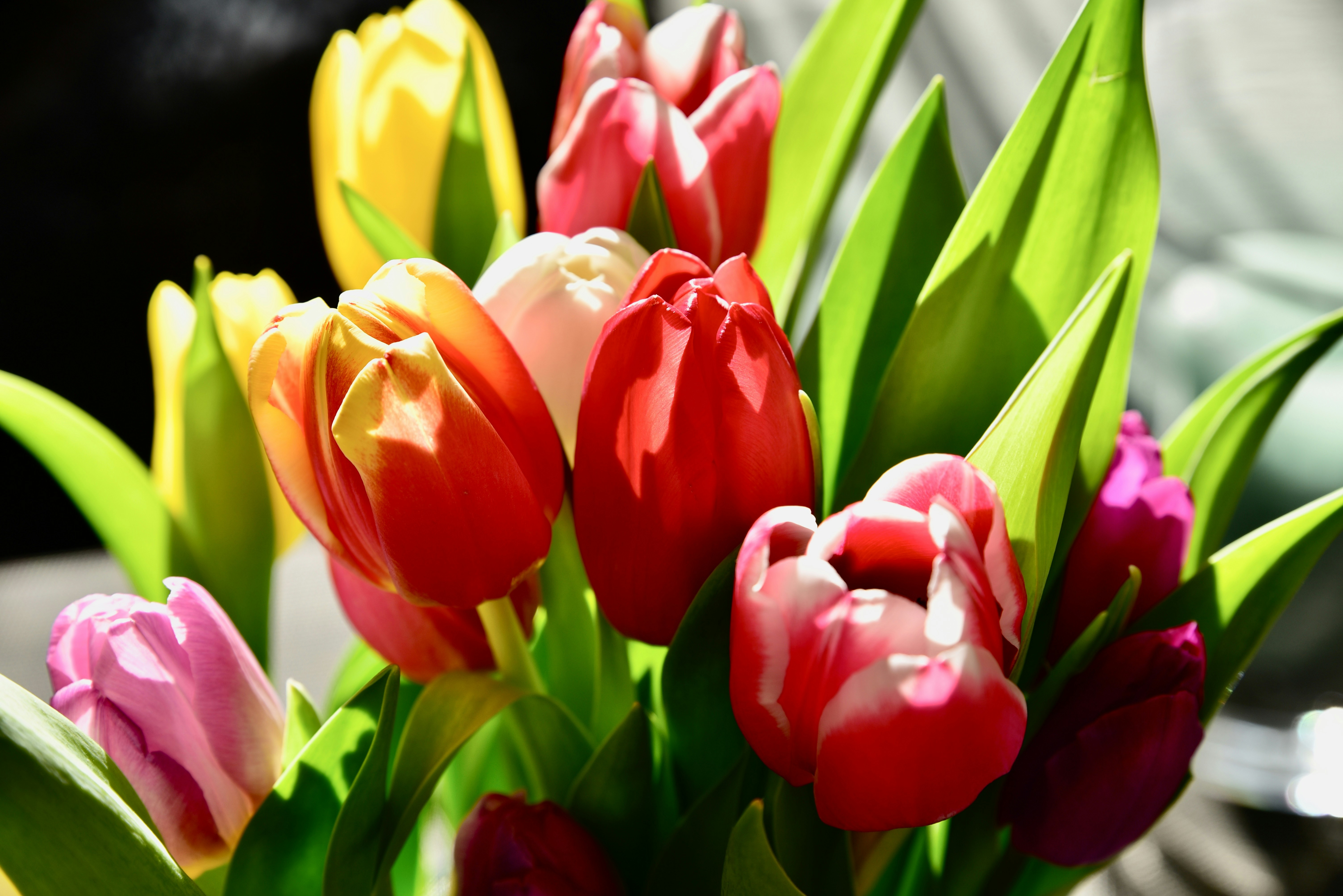 Photo by joberger2023