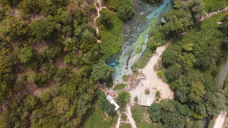 Aerial view of a watershed with meandering streams surrounded by green forest