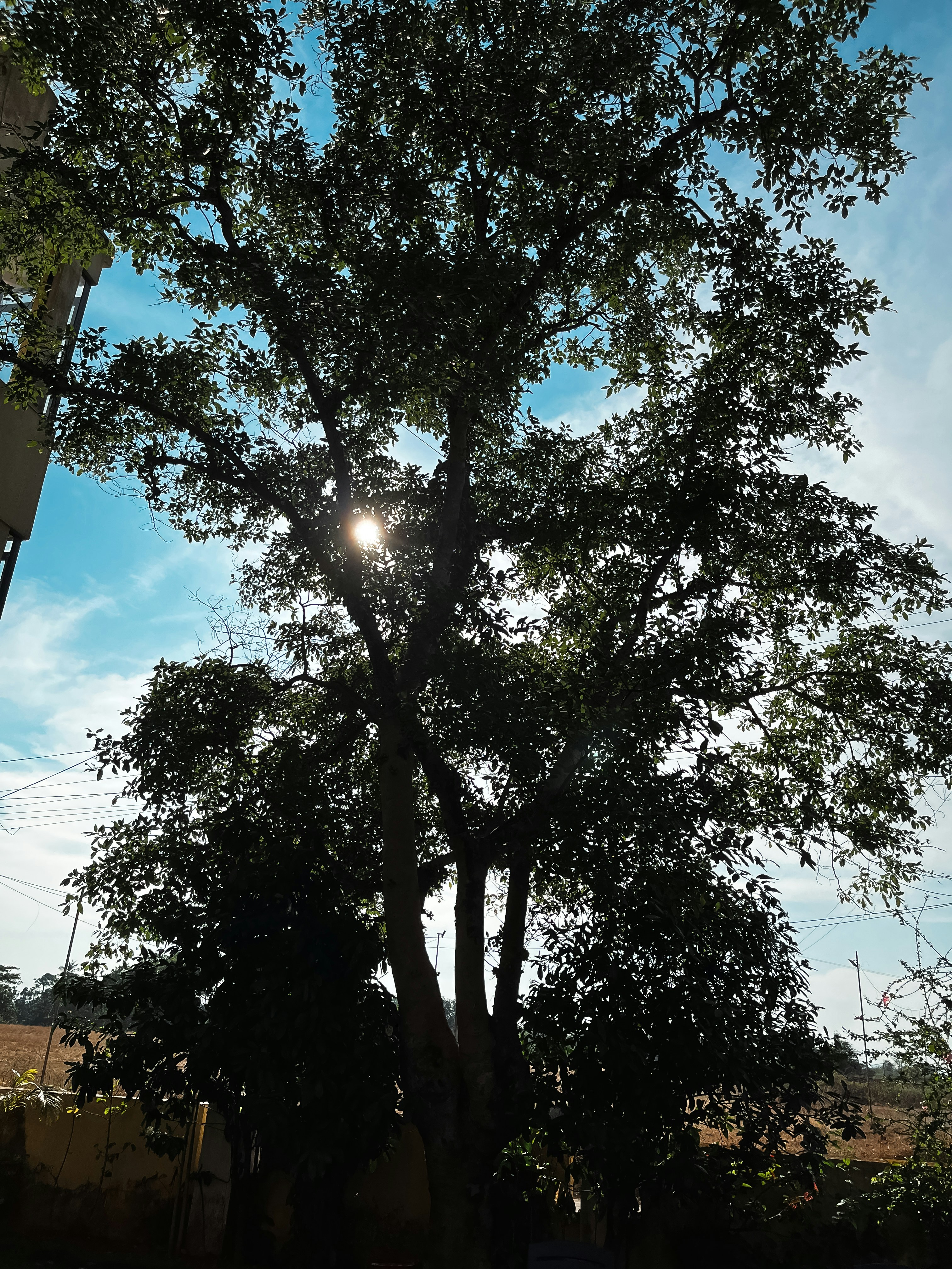 Photo by utkarshshankar1