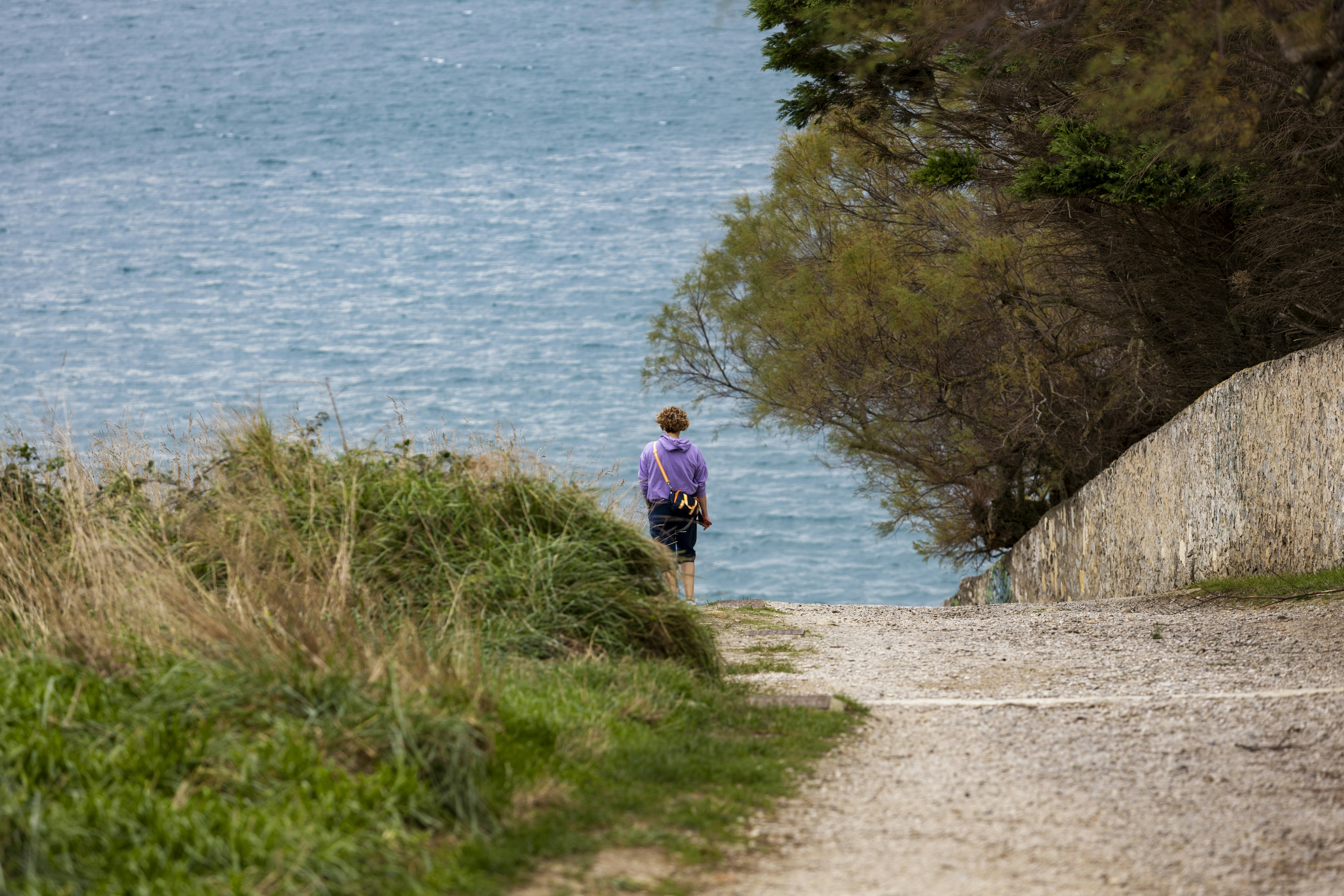 a person standing on a path next to a body of water