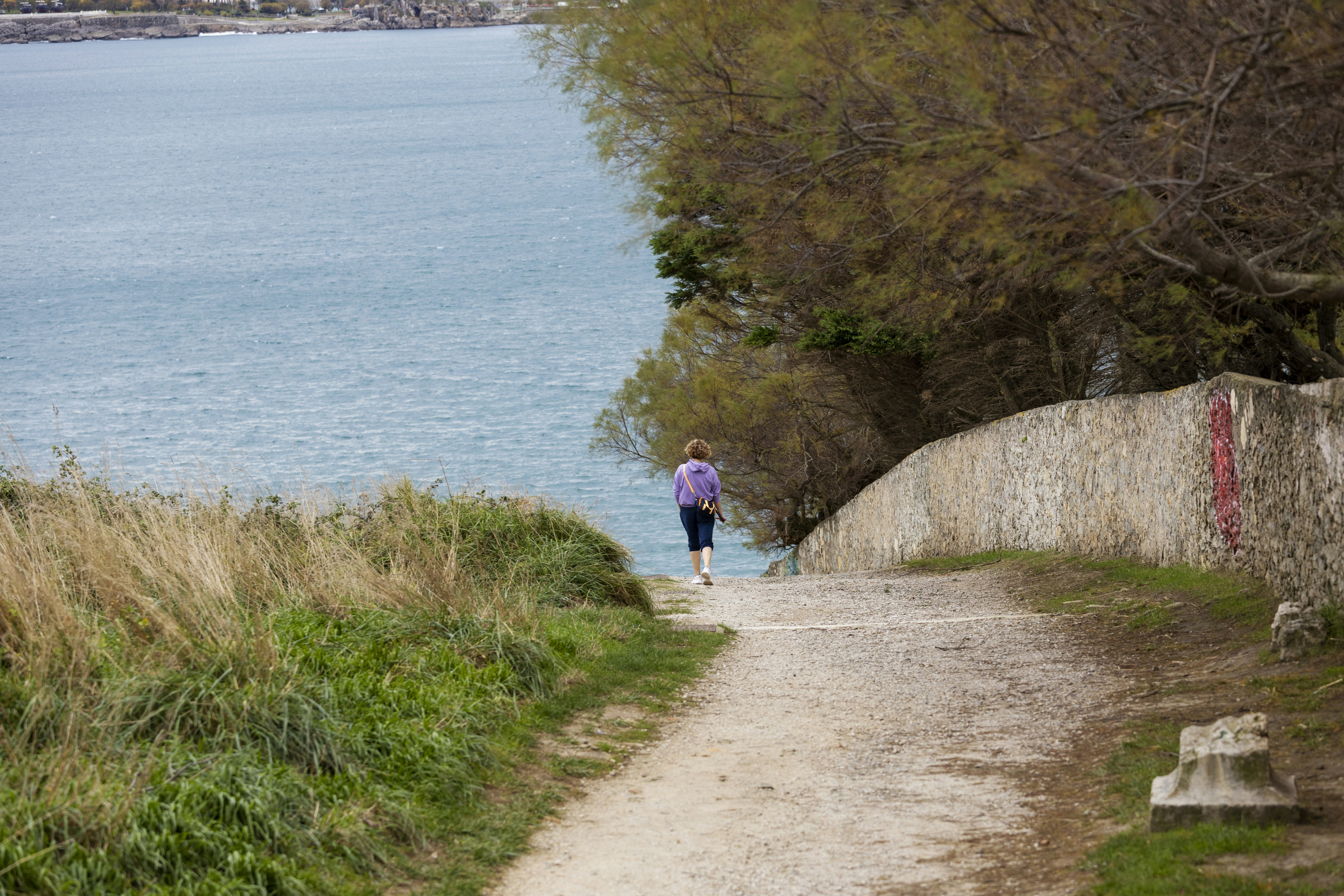 a person walking down a path next to a body of water