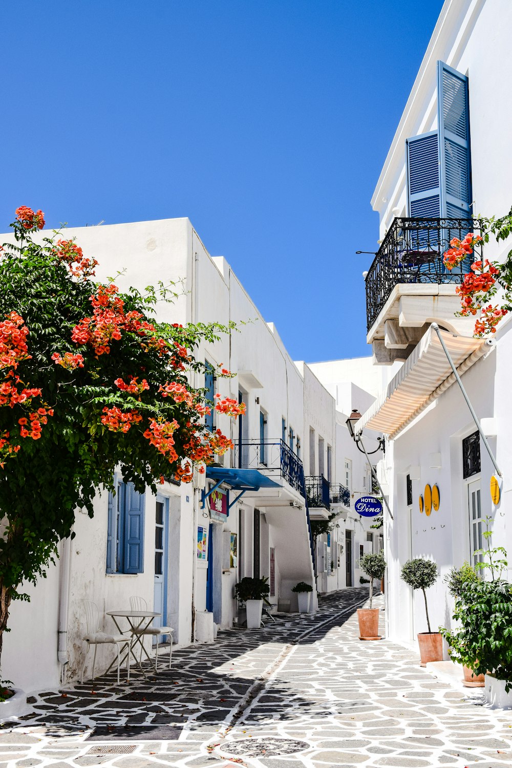 a white building with blue shutters and red flowers