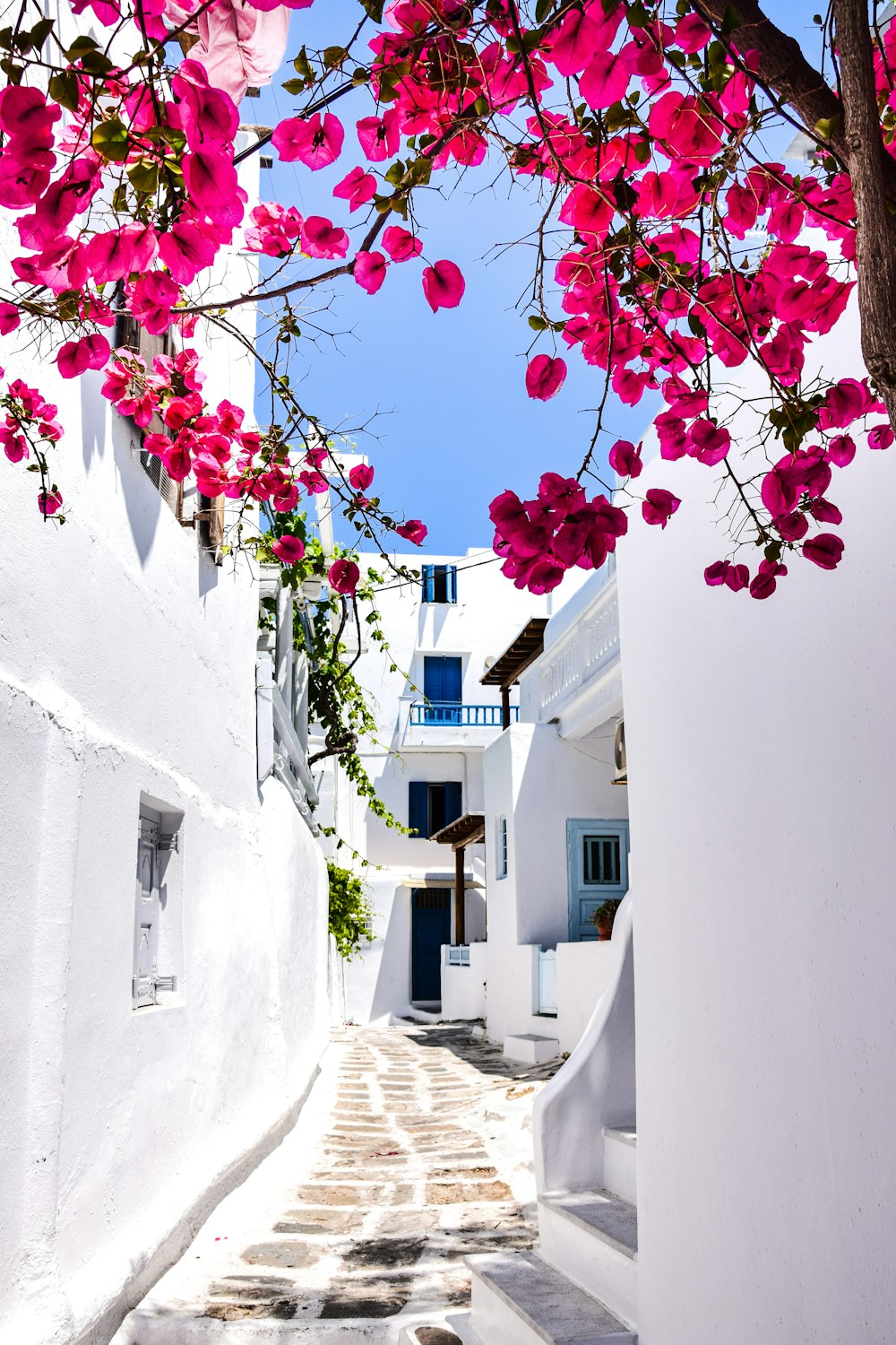 a narrow street with white buildings and pink flowers