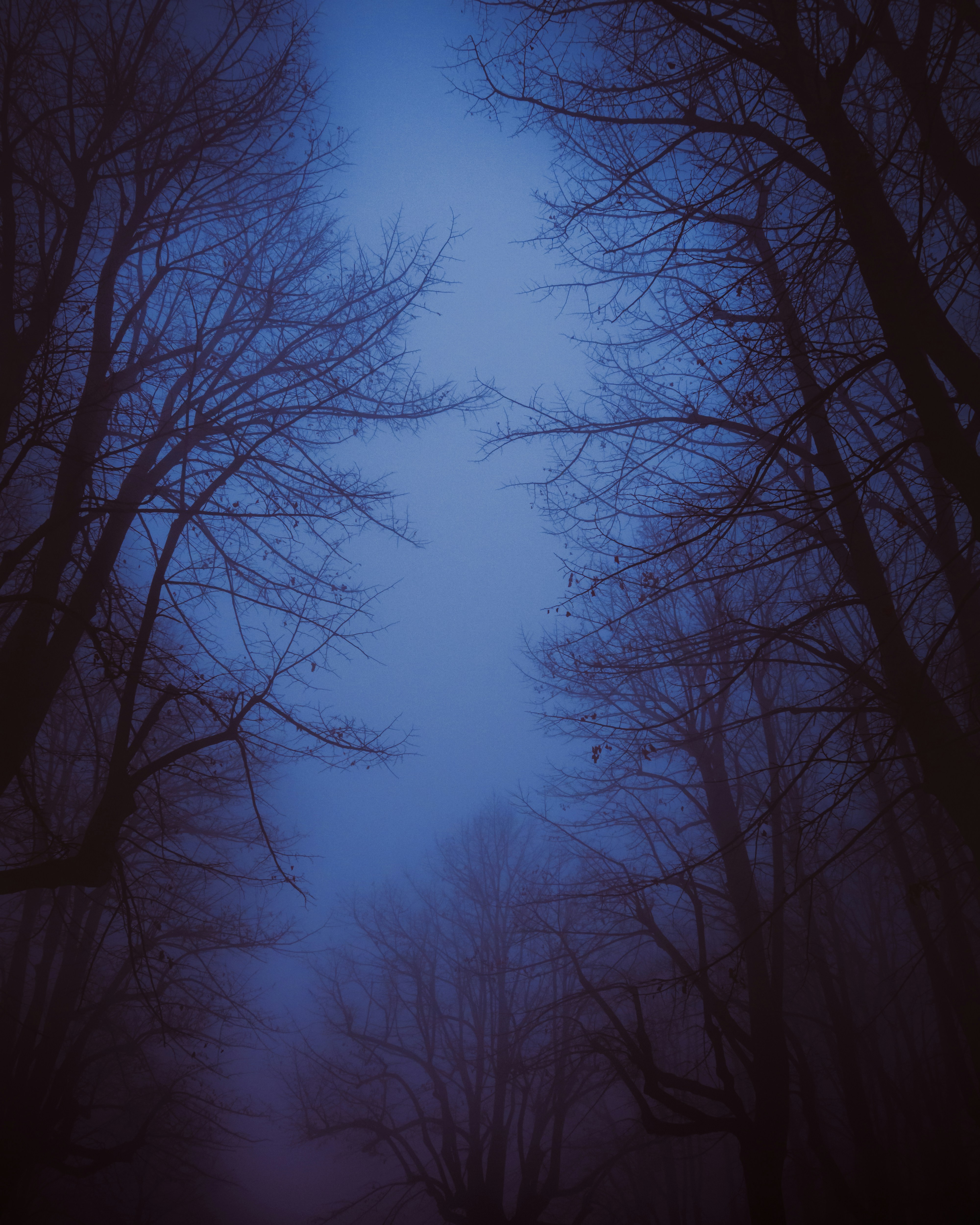 Photo by isaacmaffeis