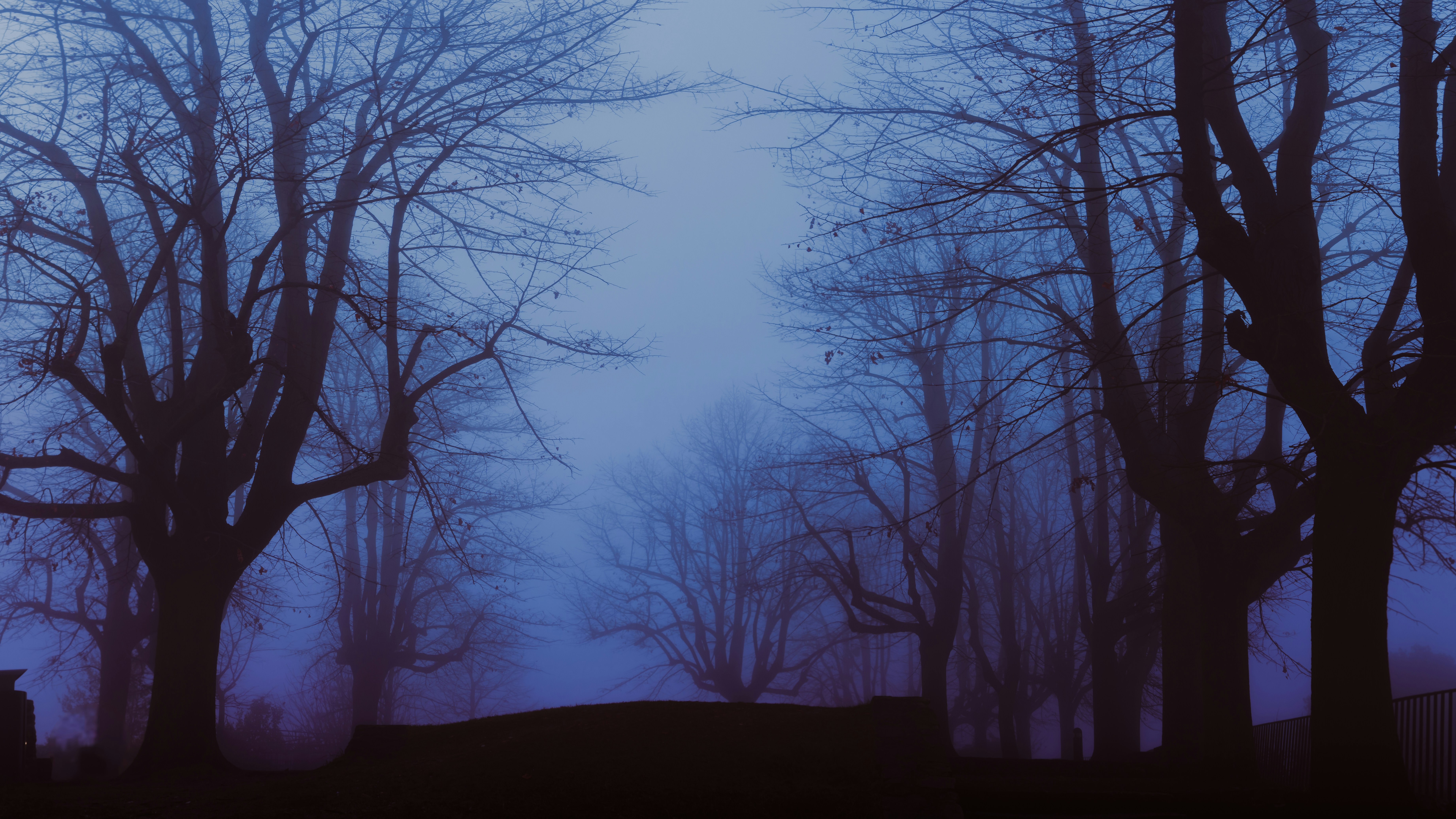 Photo by isaacmaffeis