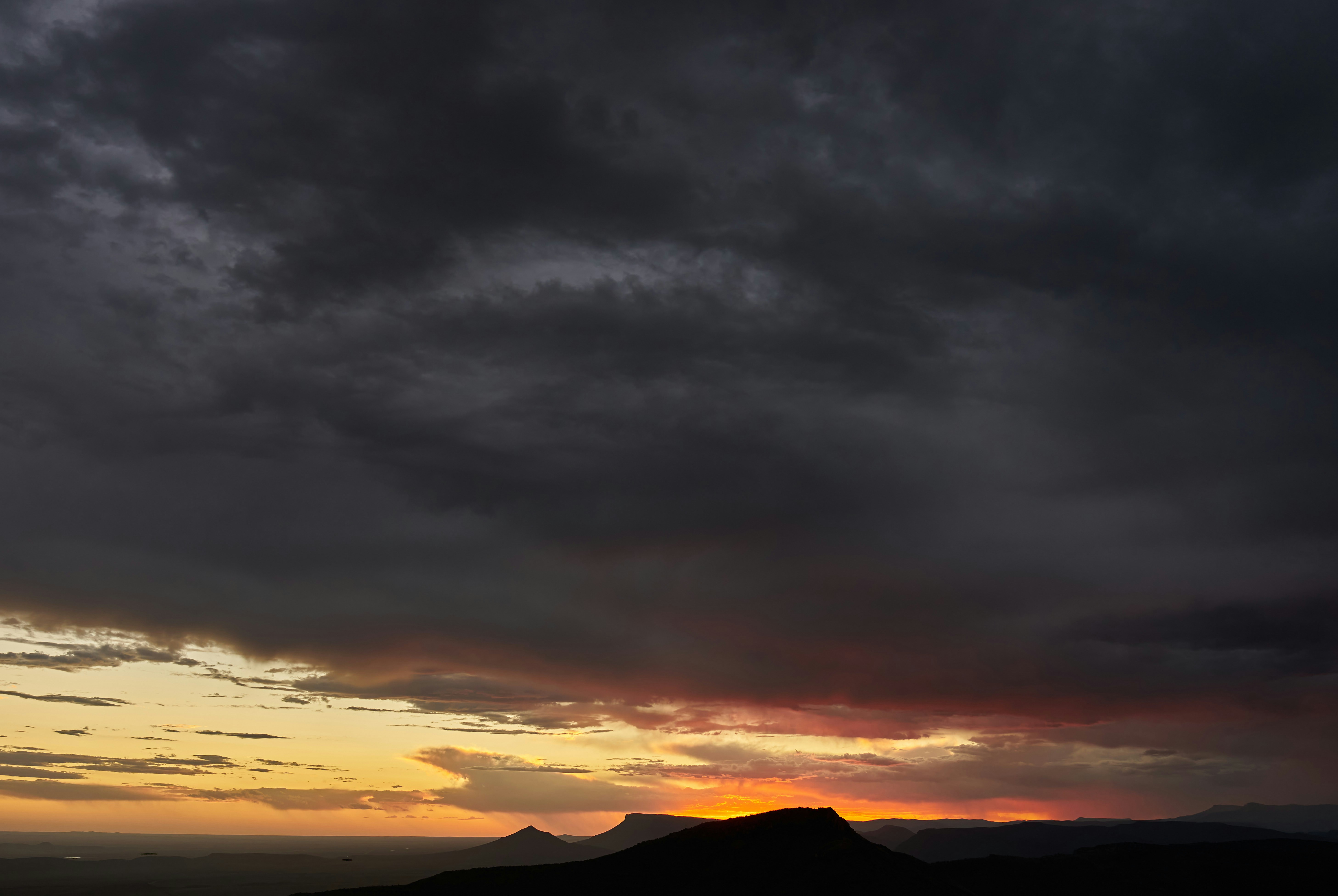 Photo by wolfgang_hasselmann