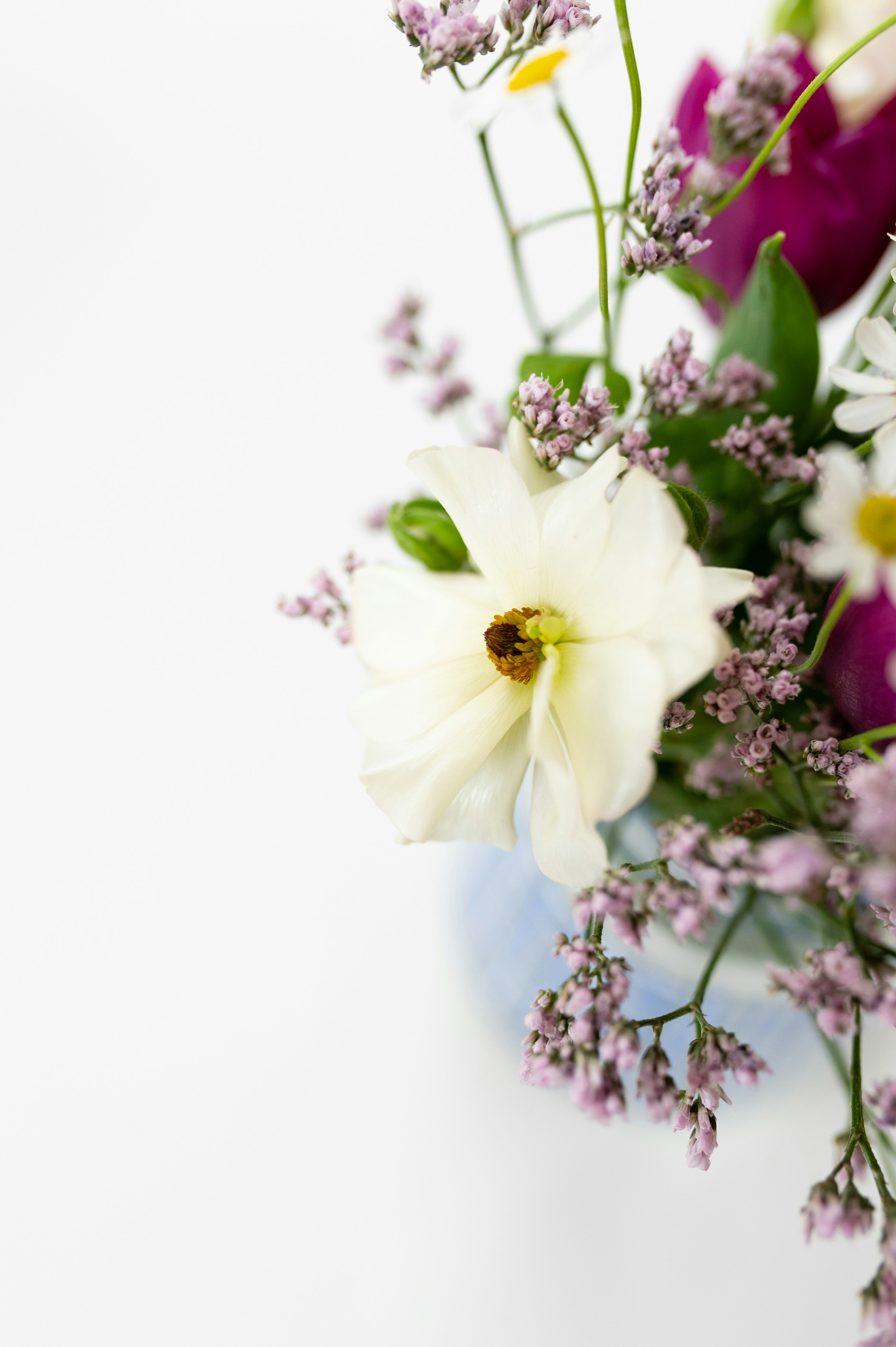 Photo by hollyboothstudio