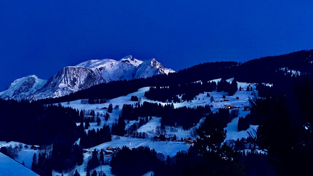 a snow covered mountain with a few trees on it