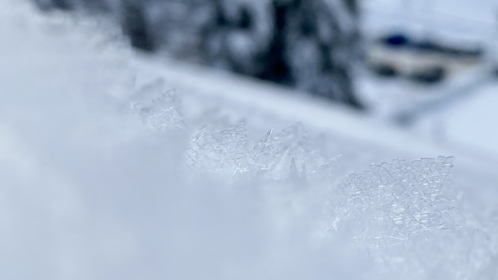 eine Nahaufnahme einer schneebedeckten Bank mit Bäumen im Hintergrund