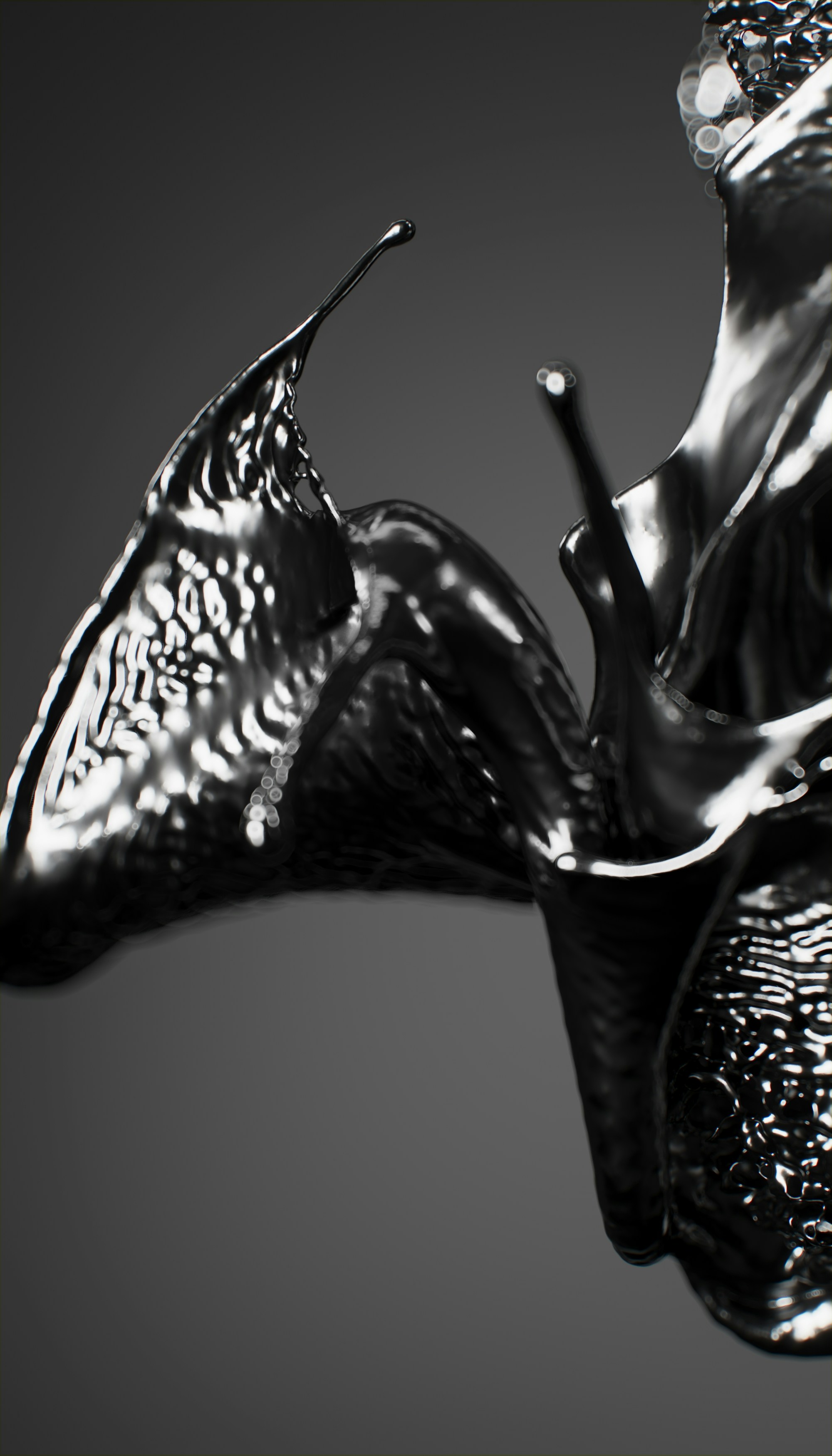 Photo by planetvolumes