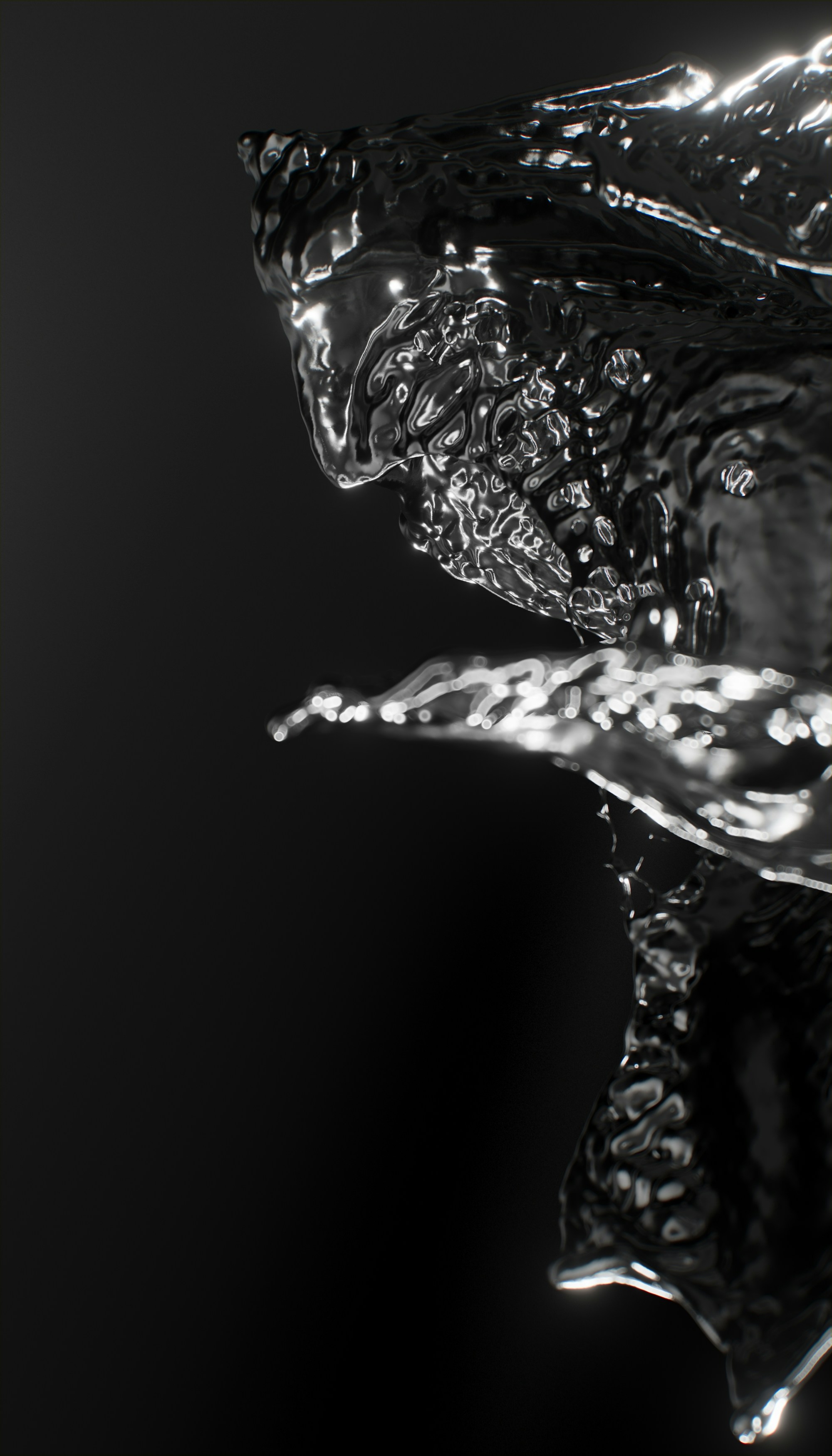 Photo by planetvolumes