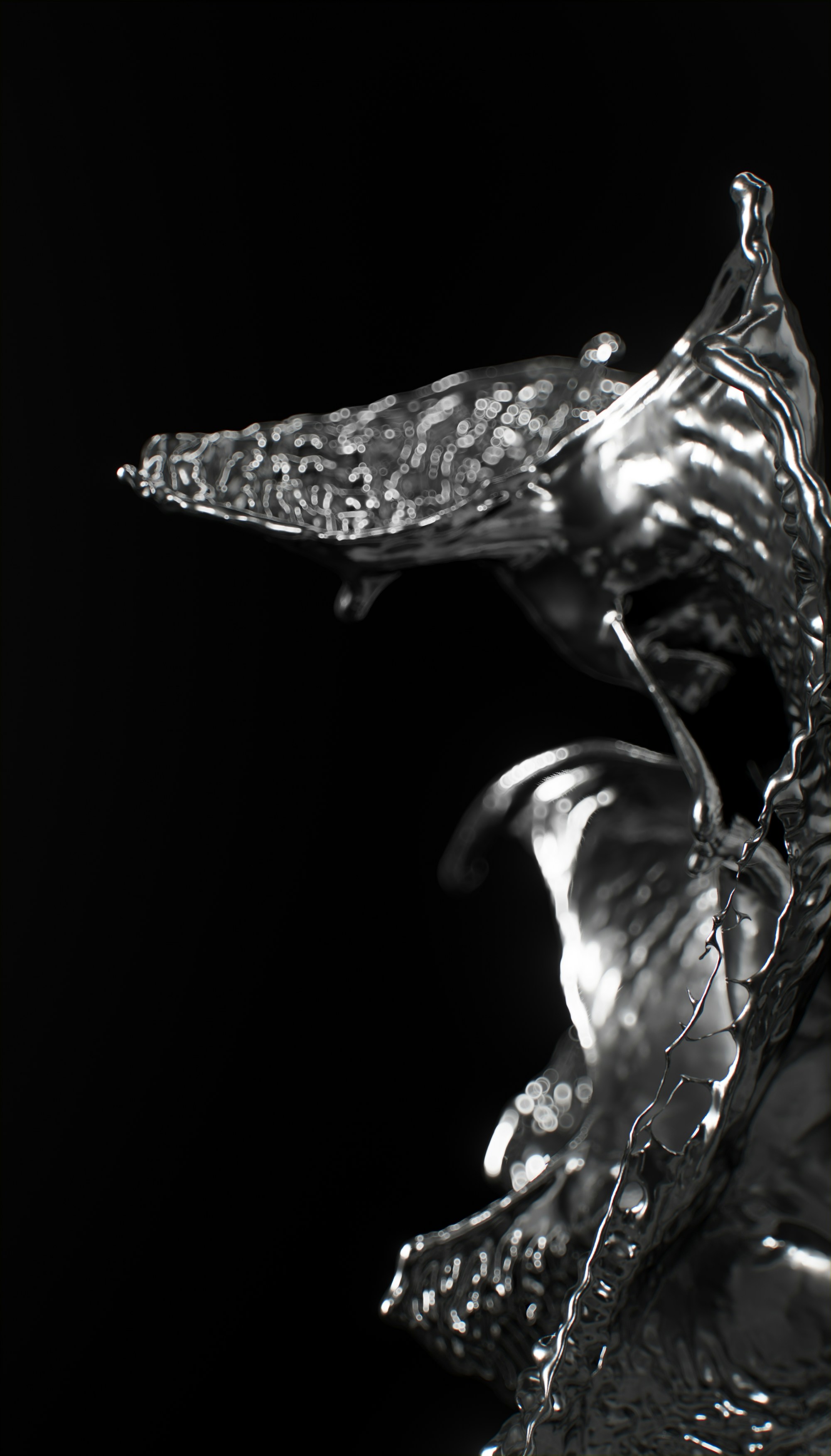 Photo by planetvolumes