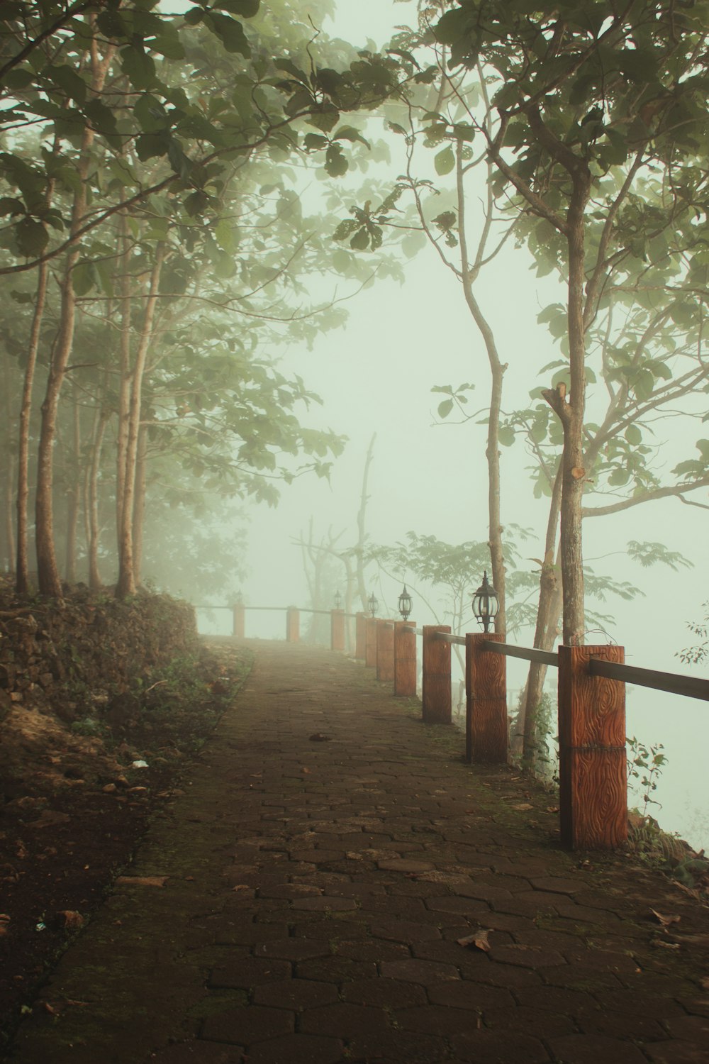 a path that leads to a body of water