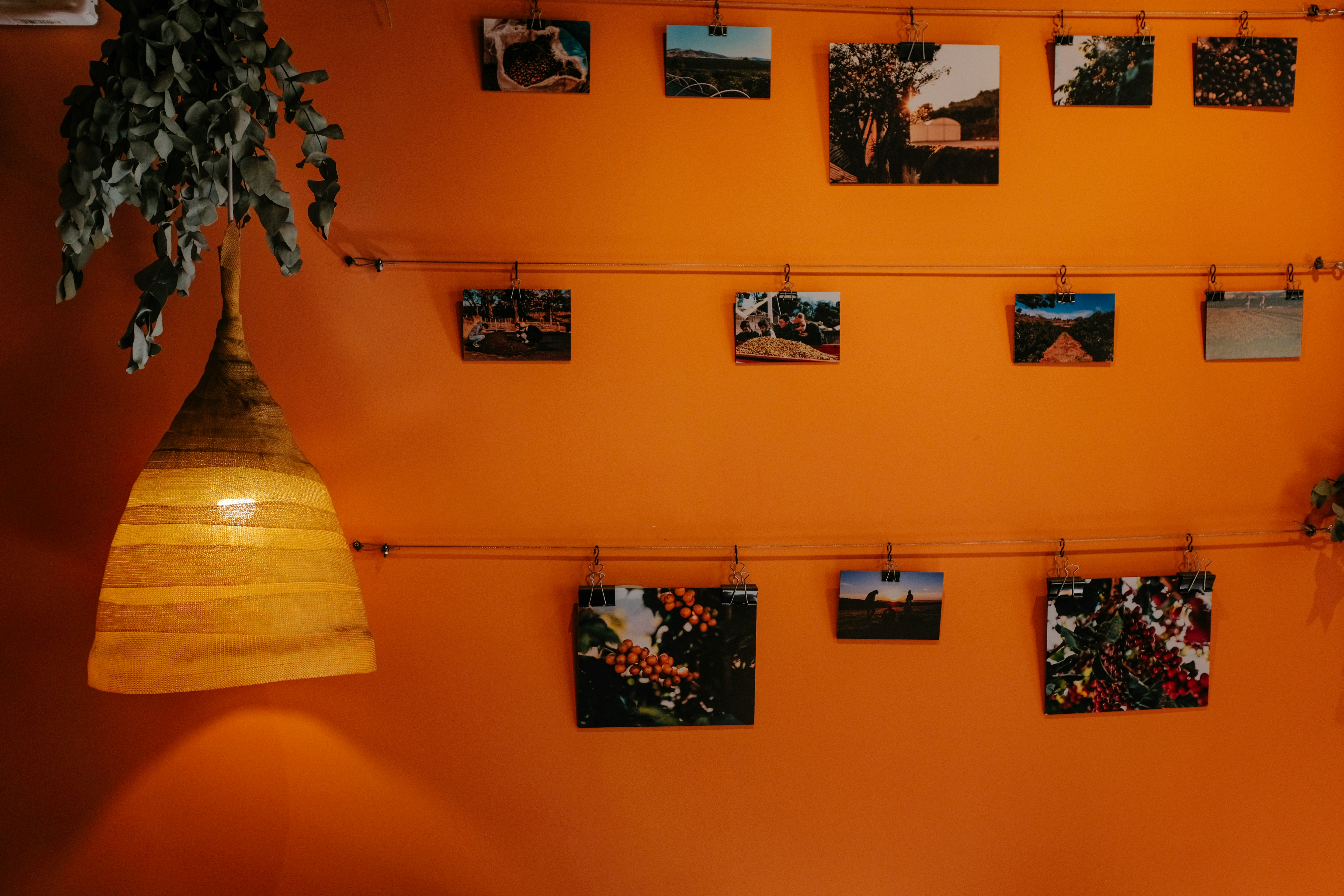 Portfolio Development course