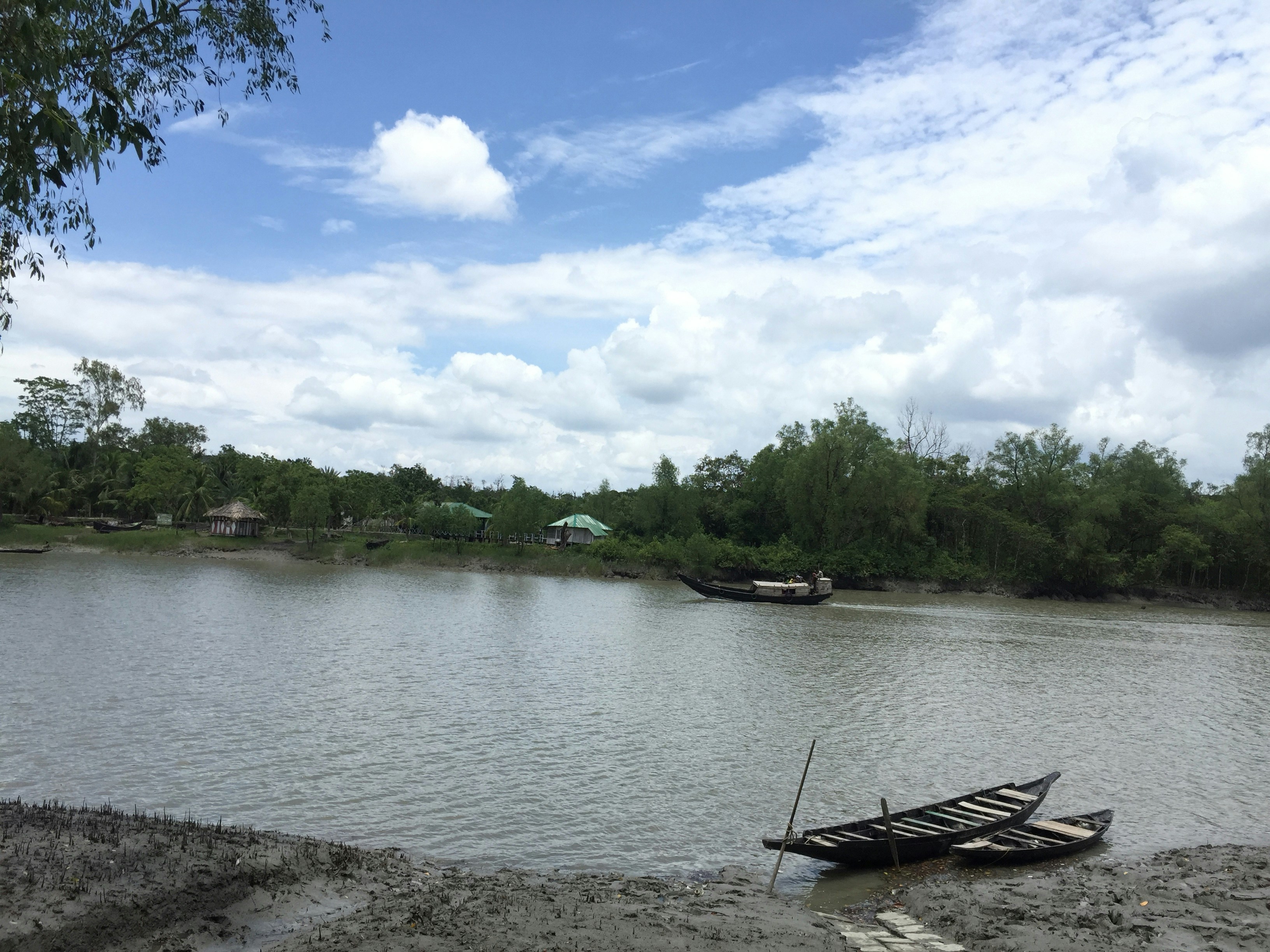 perahu yang duduk di atas sungai di sebelah hutan