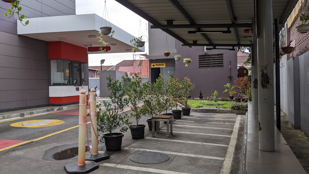 a row of potted trees sitting on the side of a road