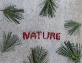 The word 'NATURE' is spelled out using red berries and is surrounded by green pine needles arranged on a concrete surface.