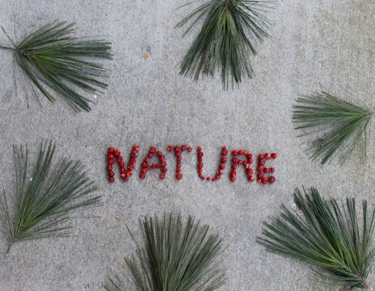 The word 'NATURE' is spelled out using red berries and is surrounded by green pine needles arranged on a concrete surface.
