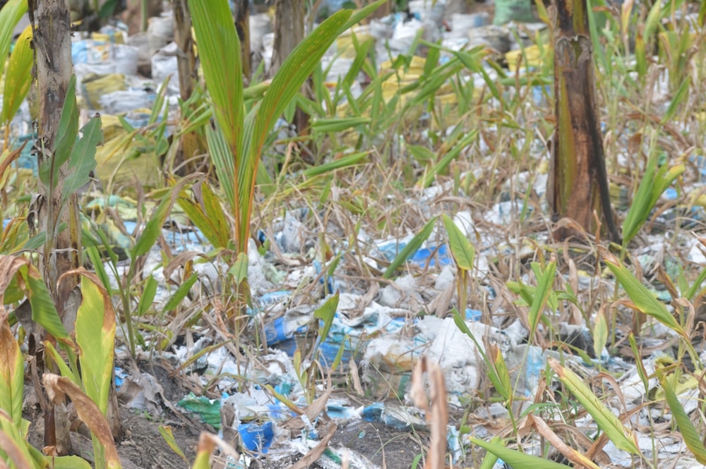 a bunch of trash in the middle of a field