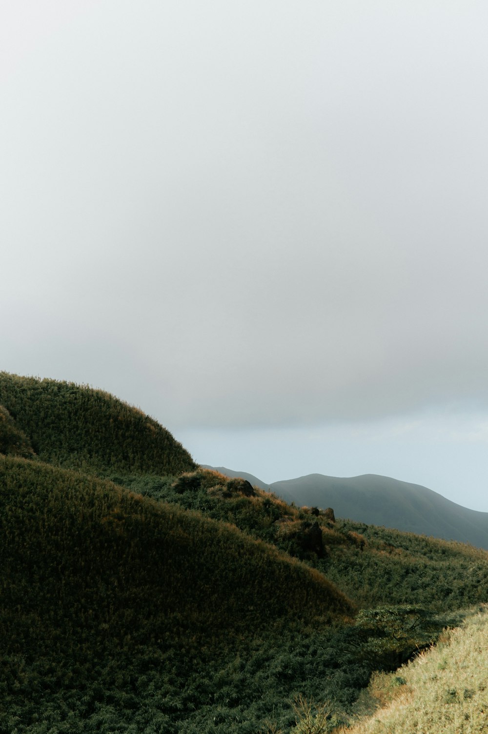 a grassy hill with hills in the background