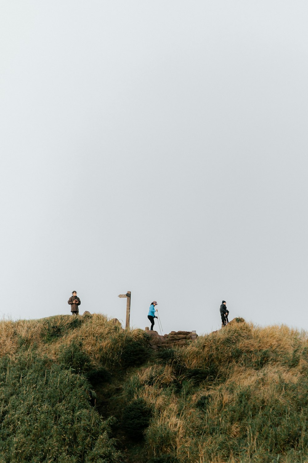 a group of people standing on top of a lush green hillside