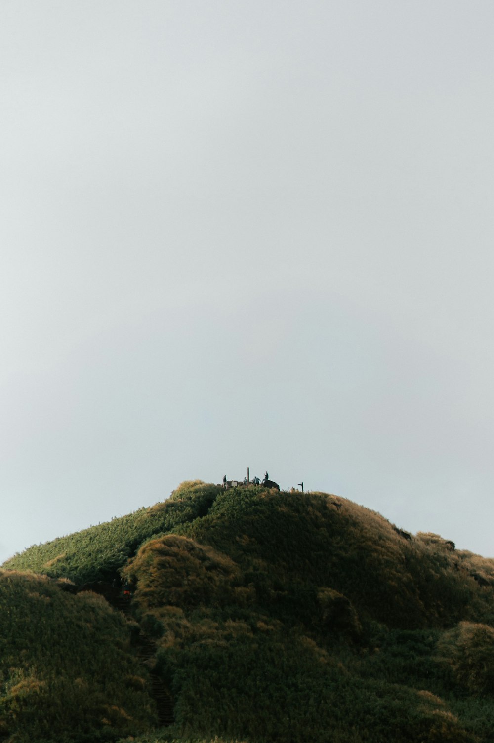 a group of people standing on top of a lush green hillside